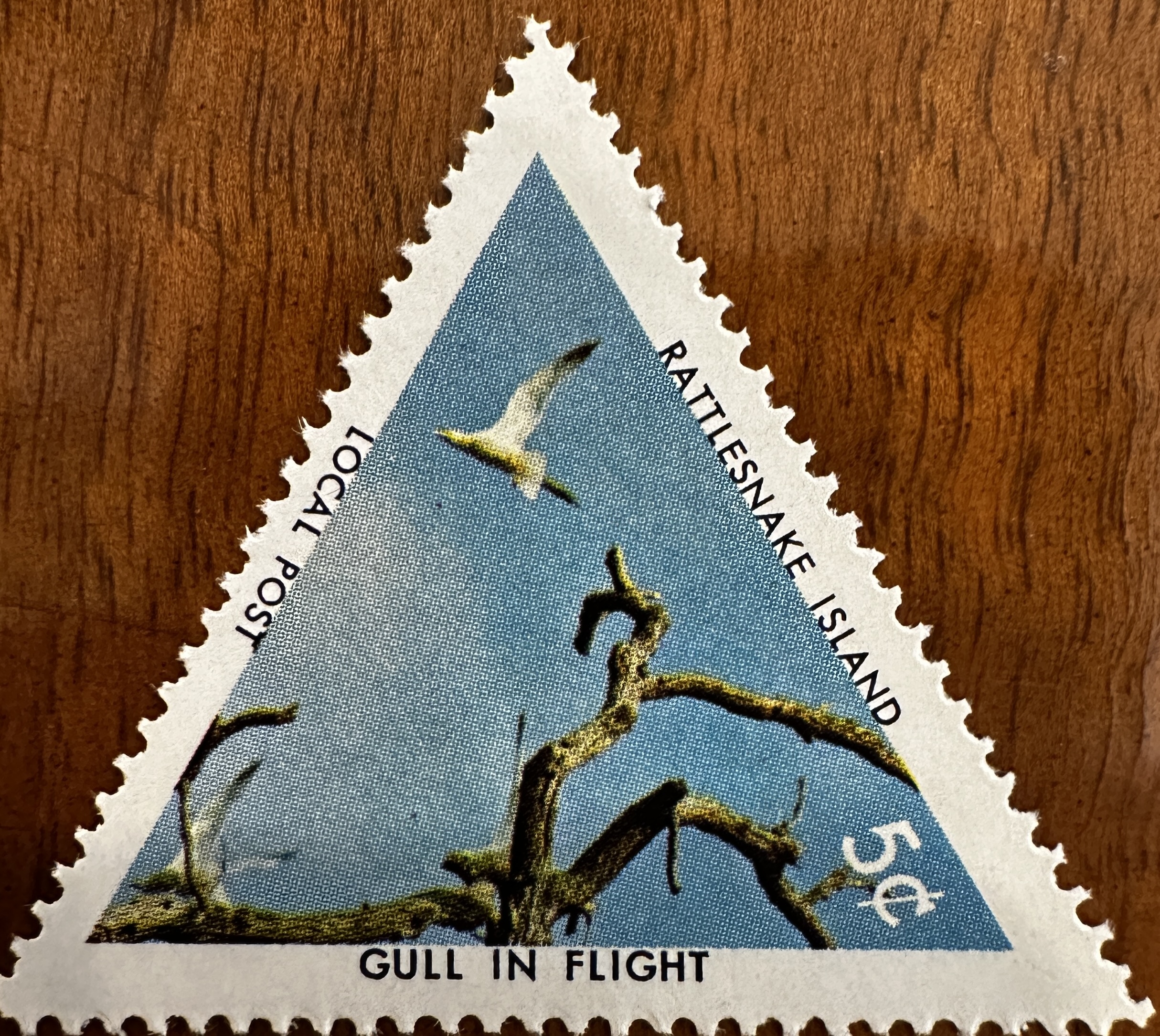 1971 Gull in Flight