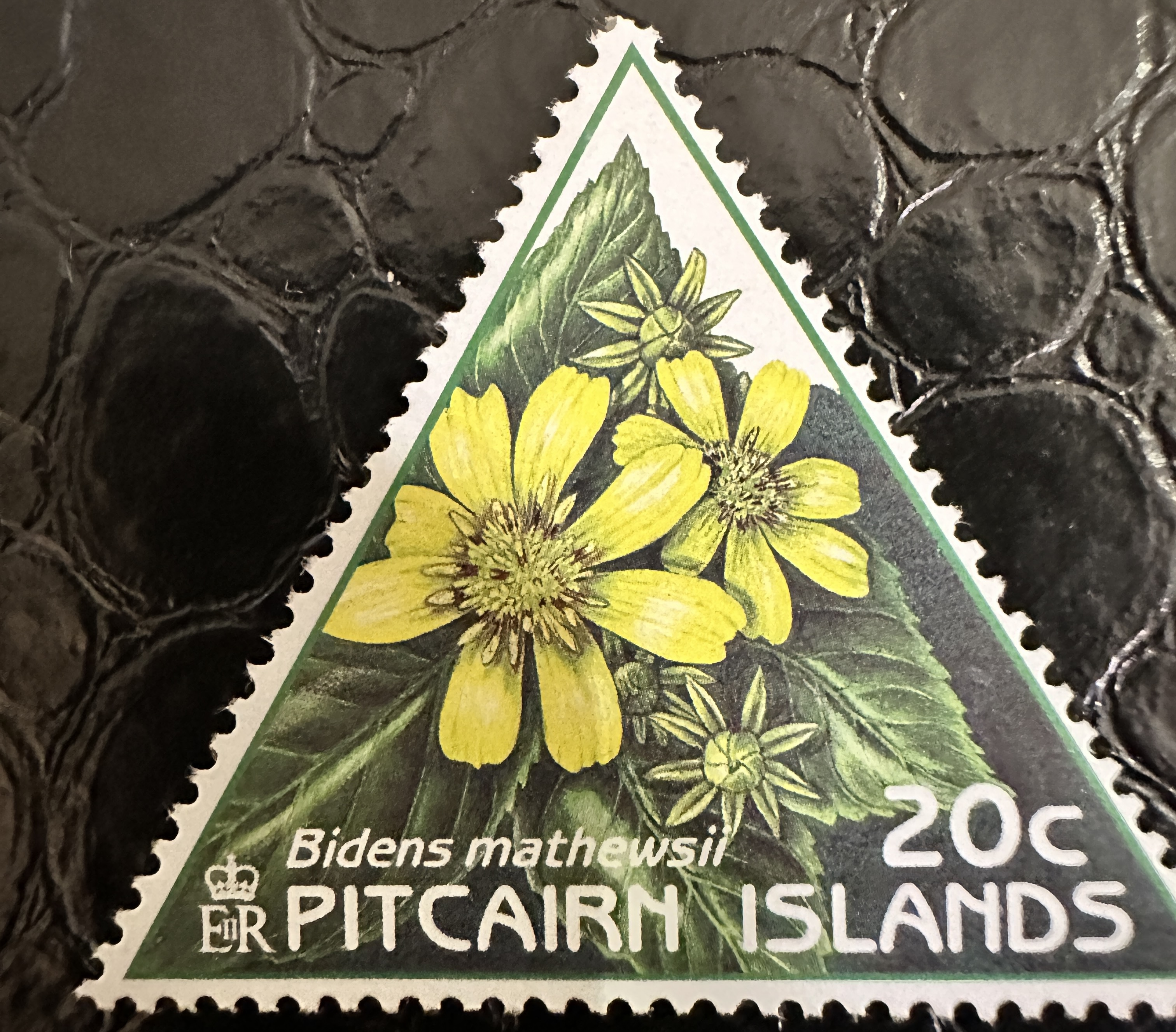 Pitcairn Flower 4