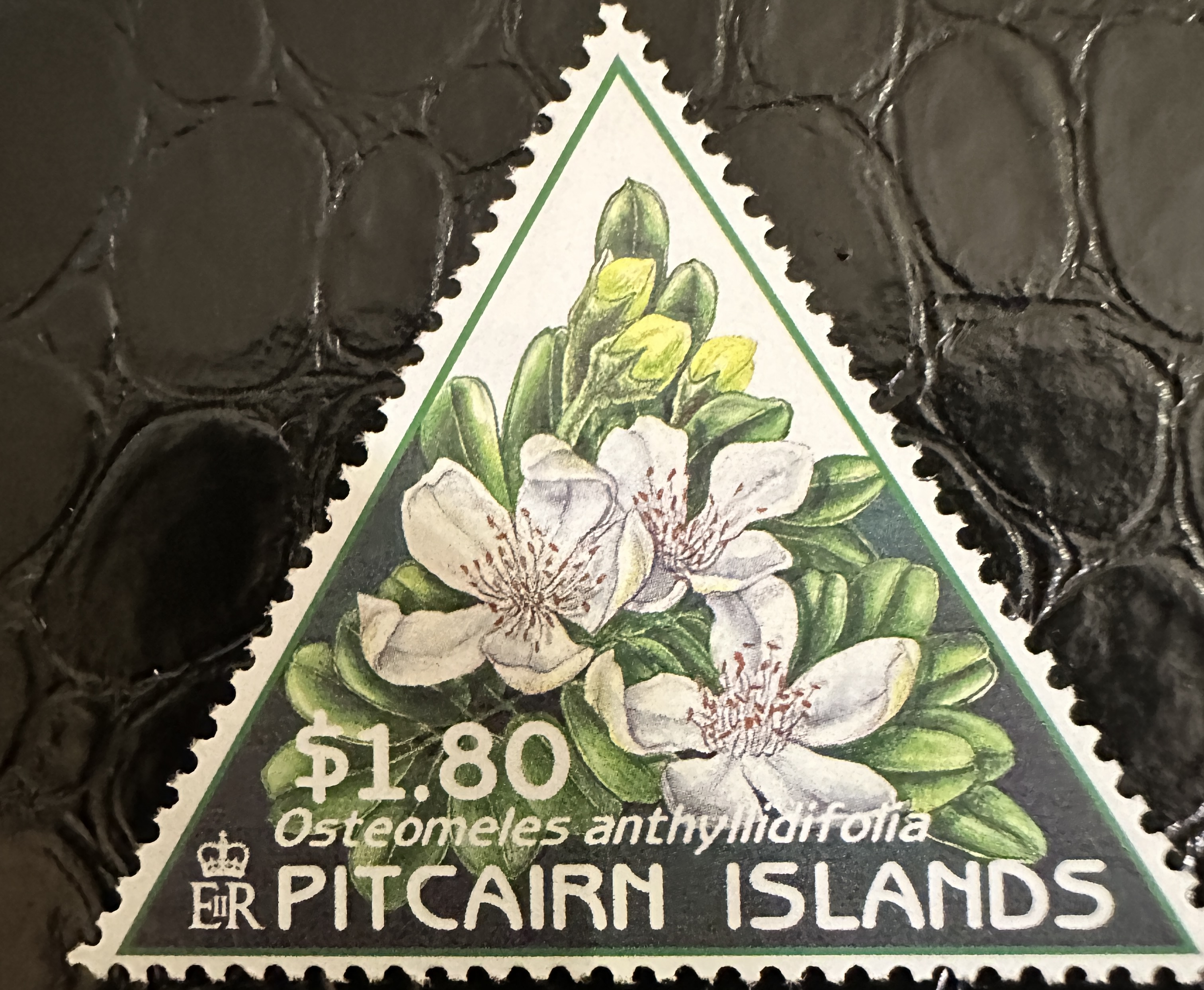 Pitcairn Flower 3