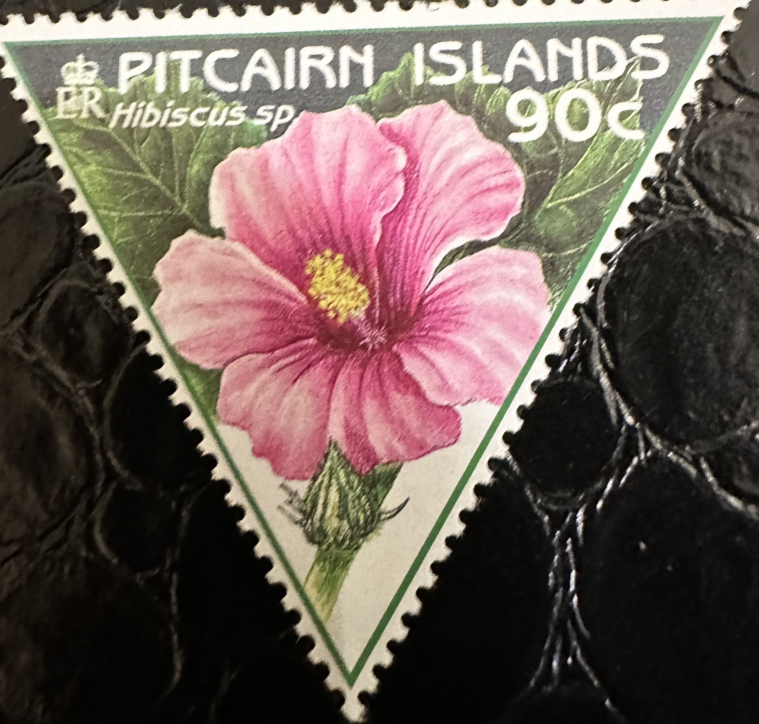 Pitcairn Flower 2