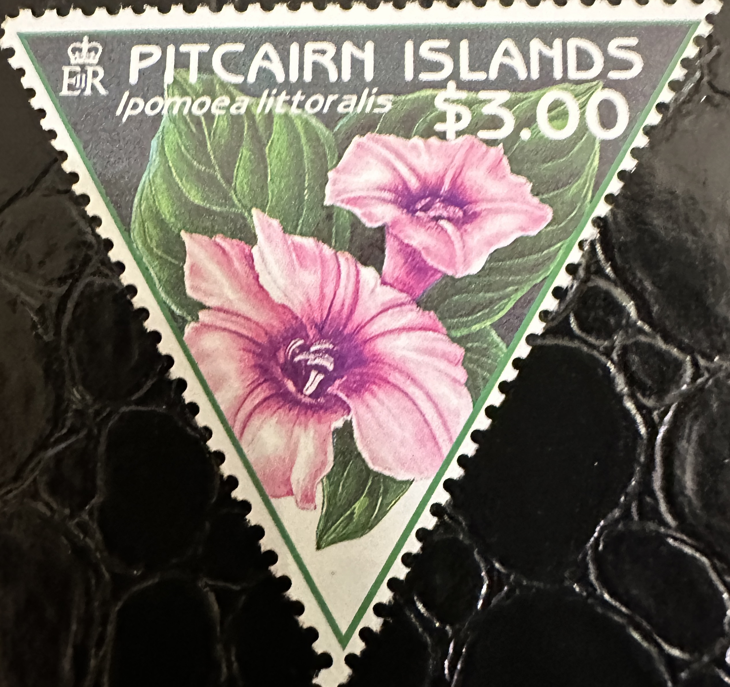 Pitcairn Flowers 1