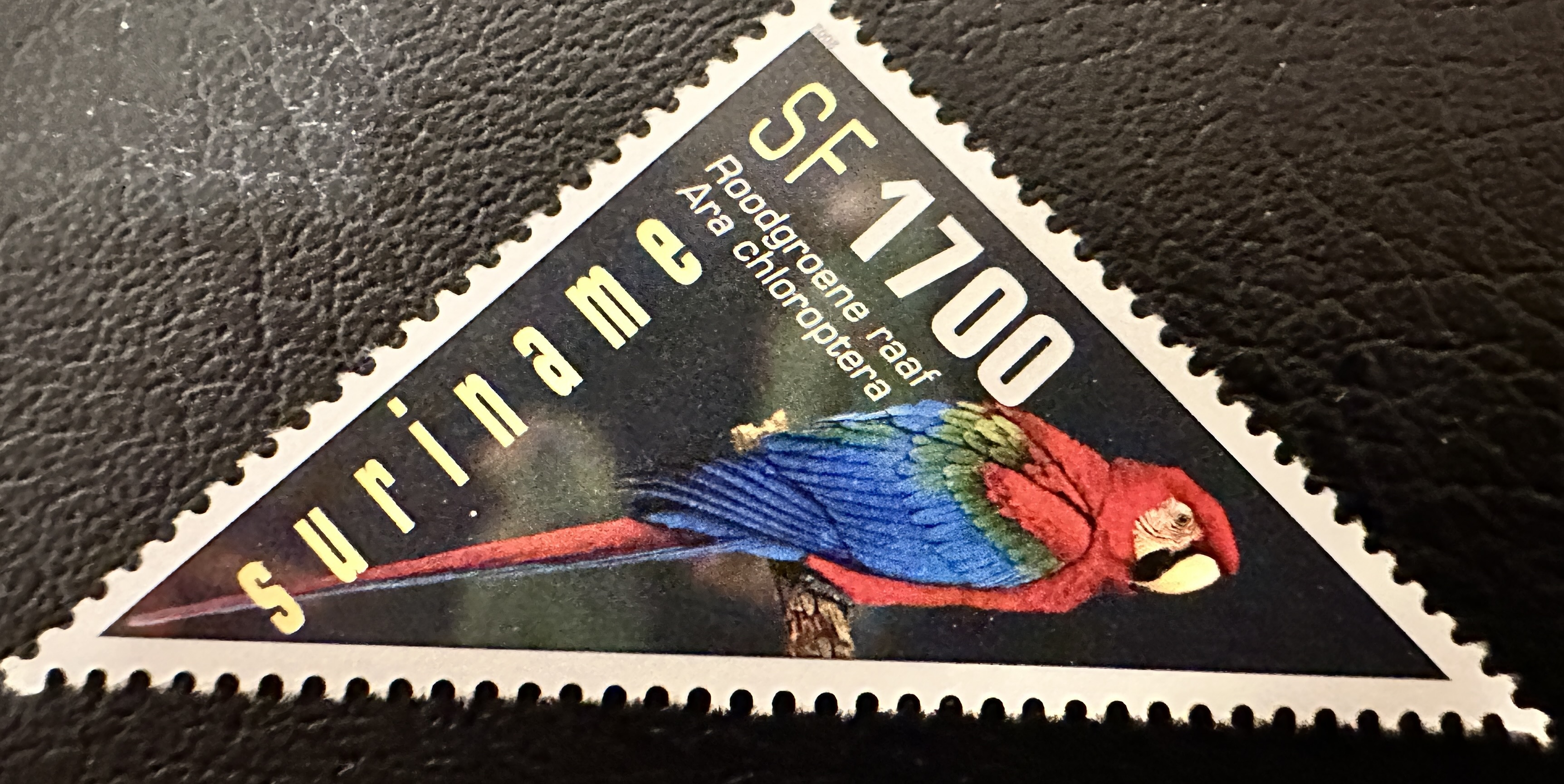 Suriname Parrots 1700