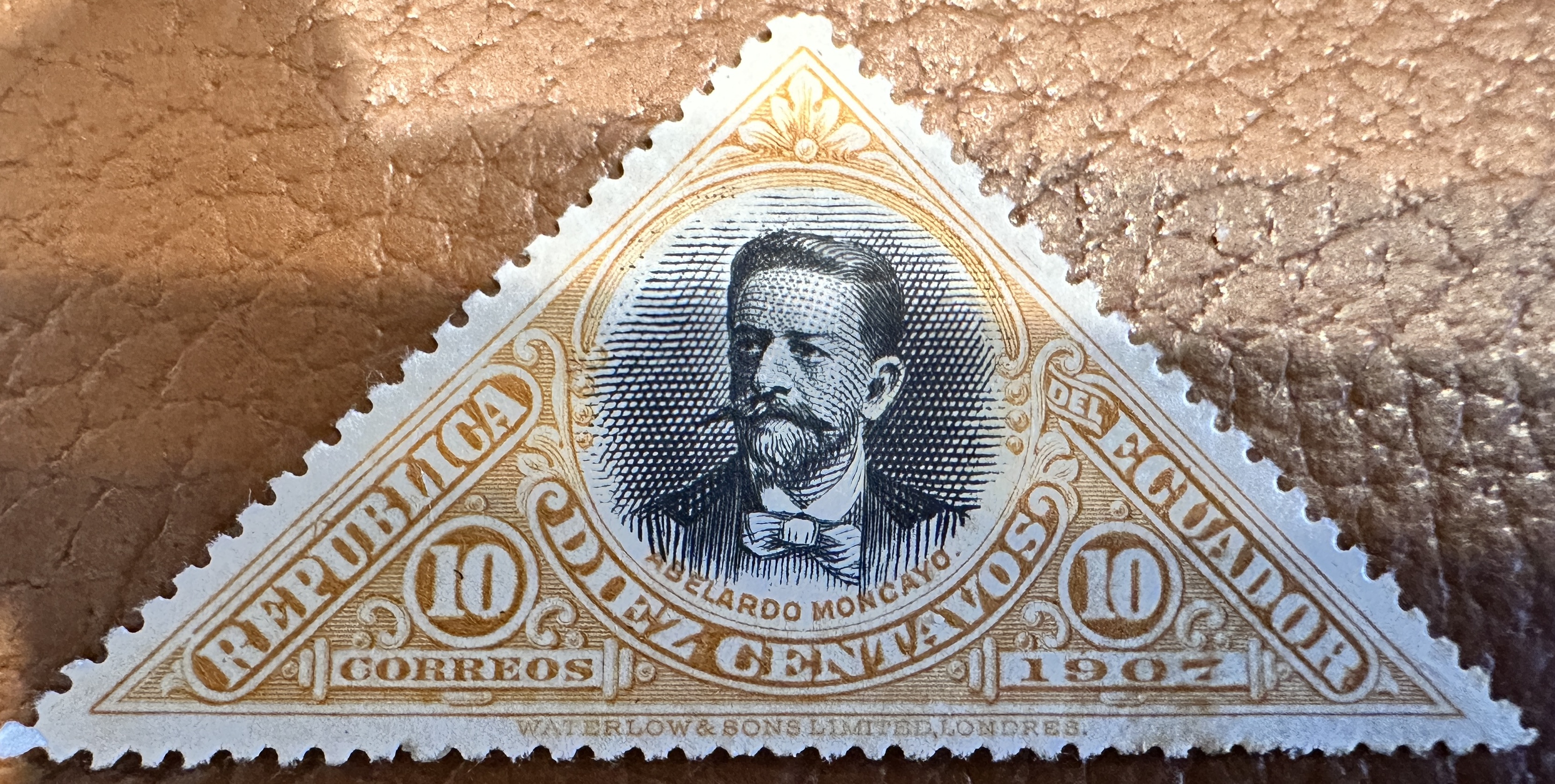 Alberado Moncayo