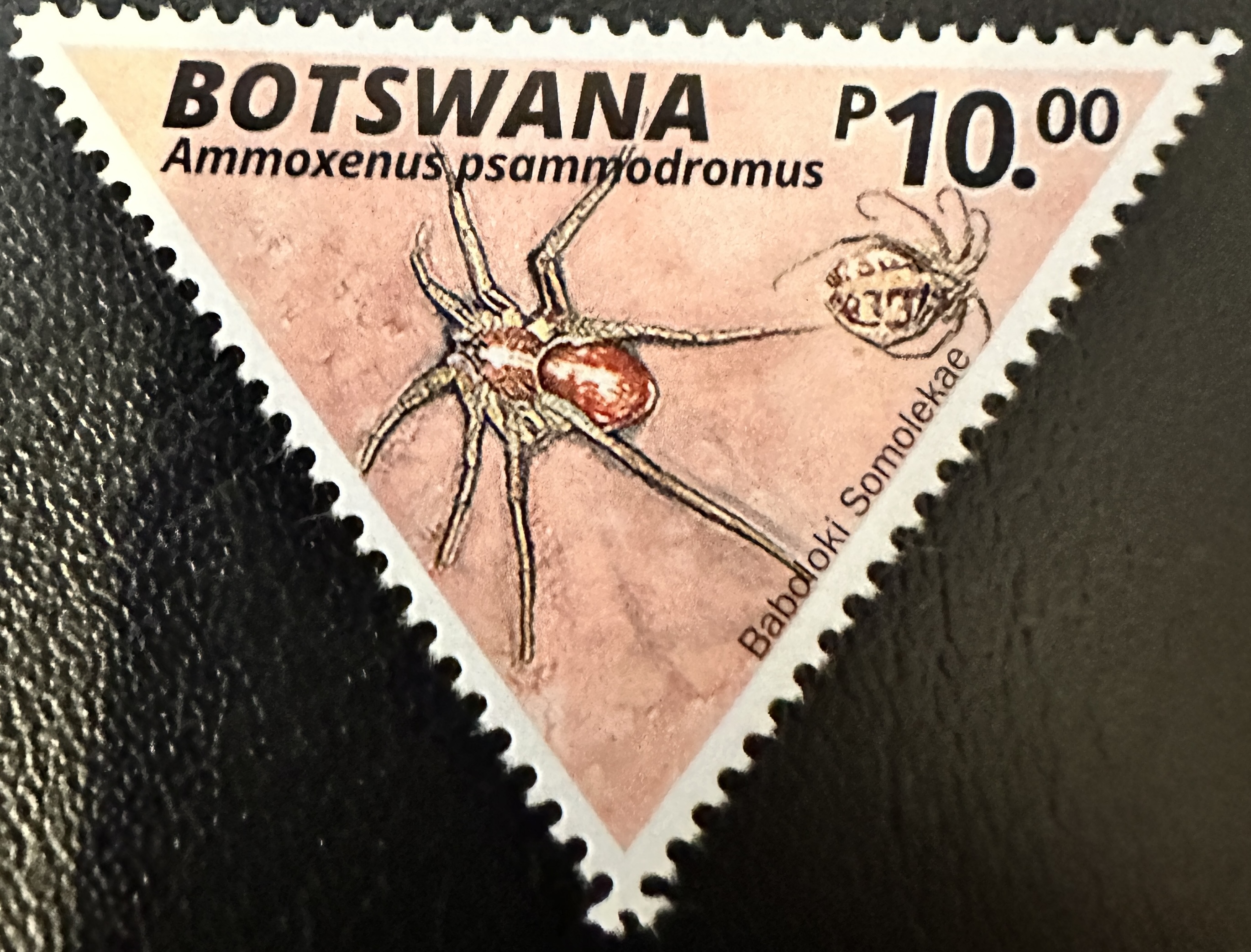 Botswana 6