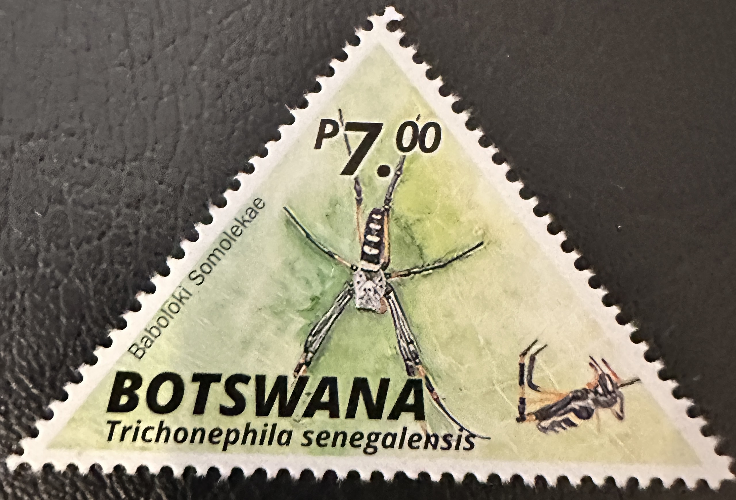 Botswana 5