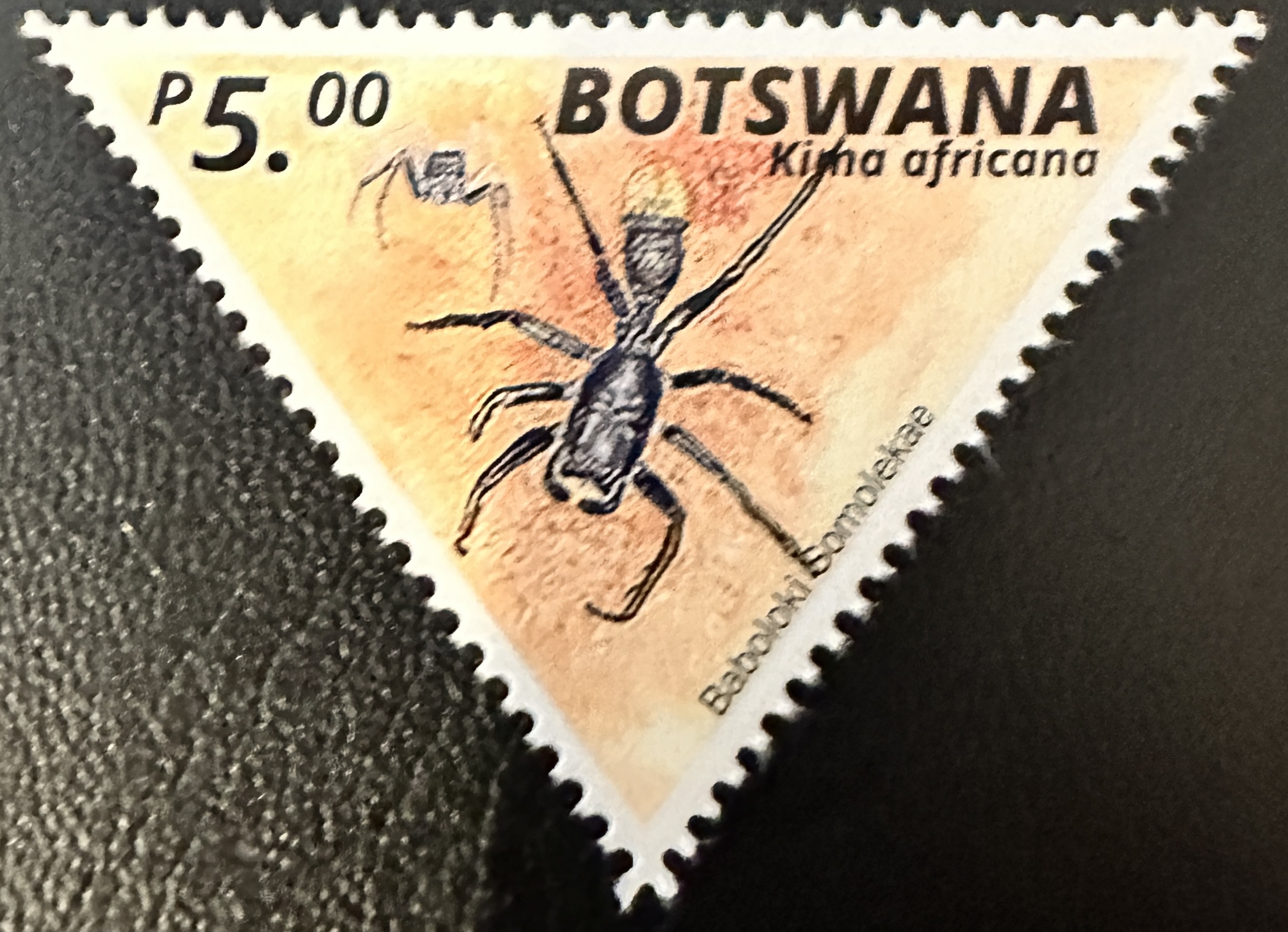 Botswana 4