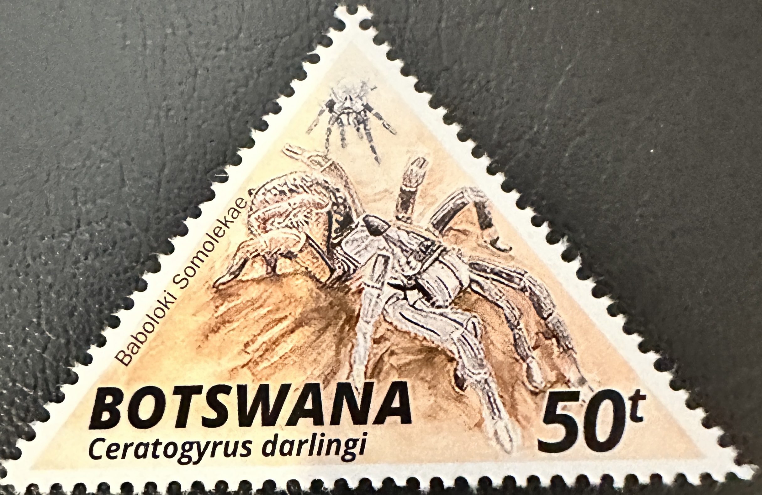 Botswana 3