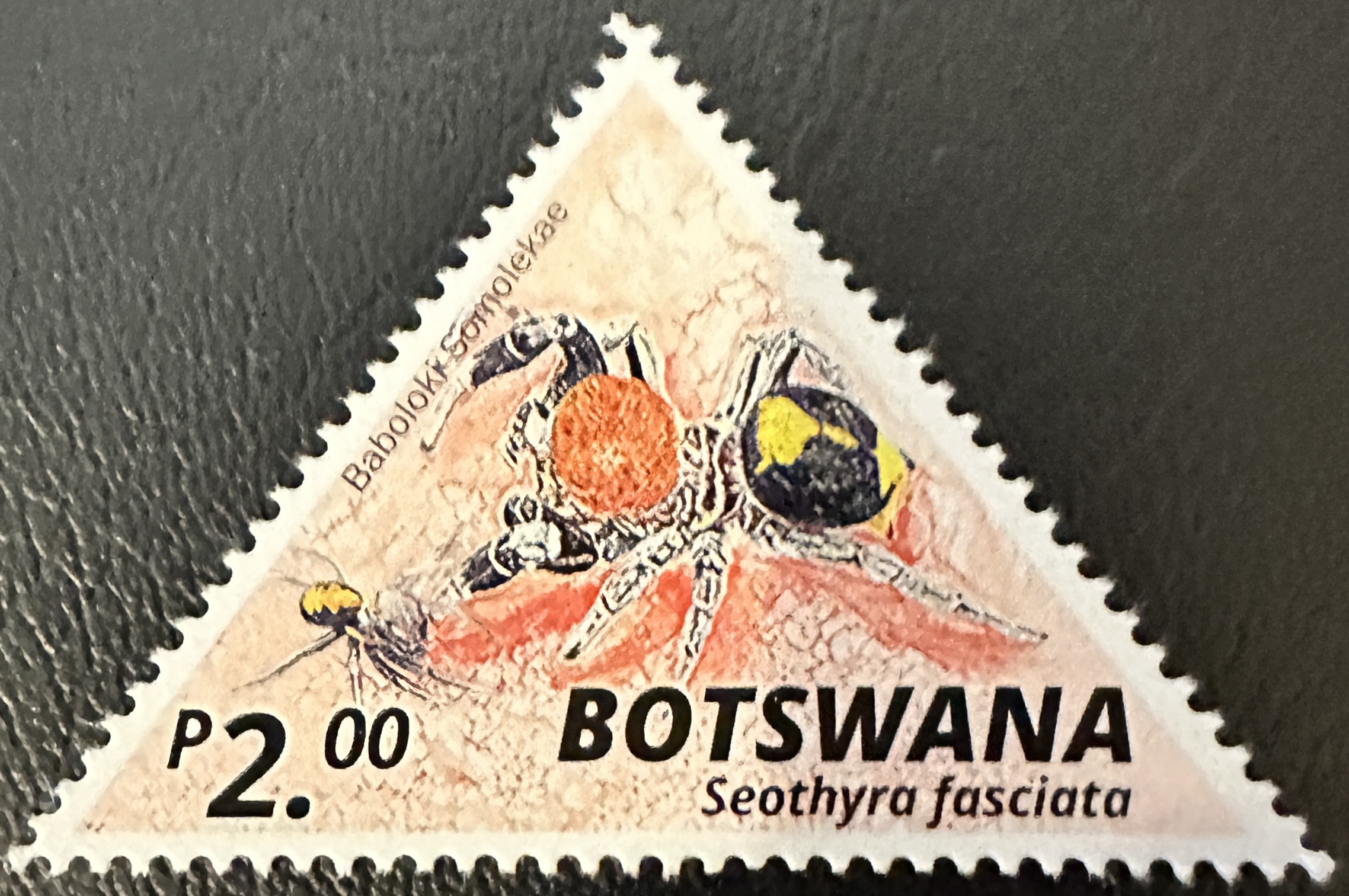 Botswana 2