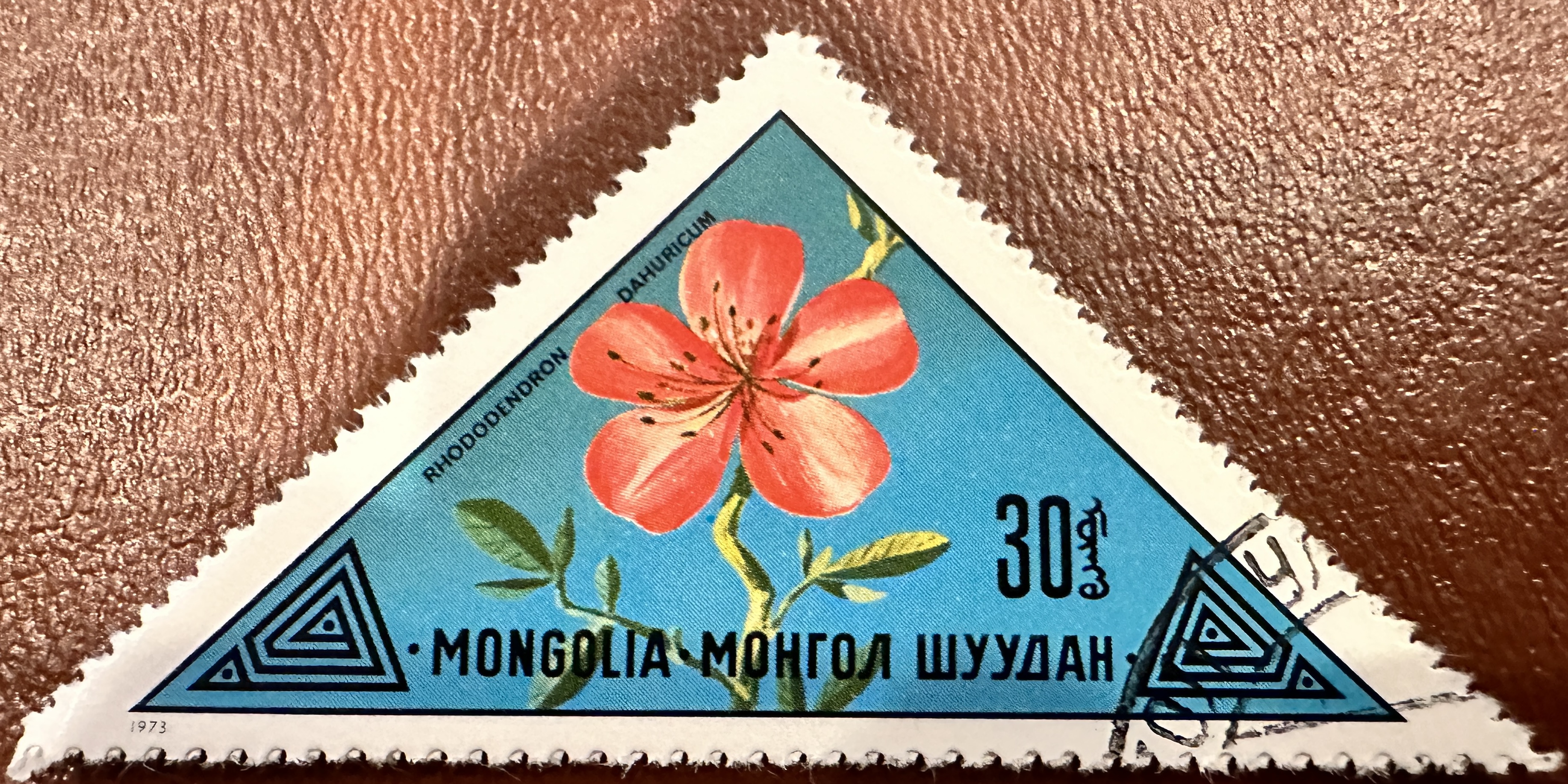 Mongolia Flowers 30