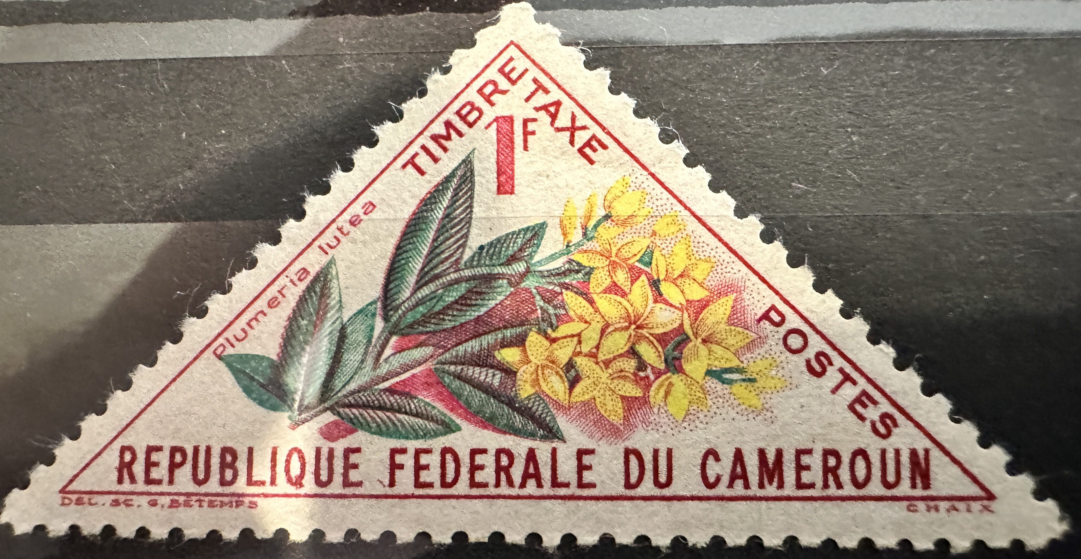 Cameroon Flowers 1