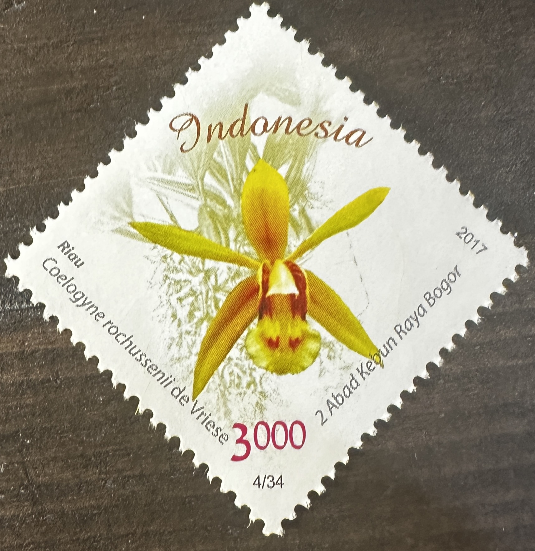 Indonesia 4/34