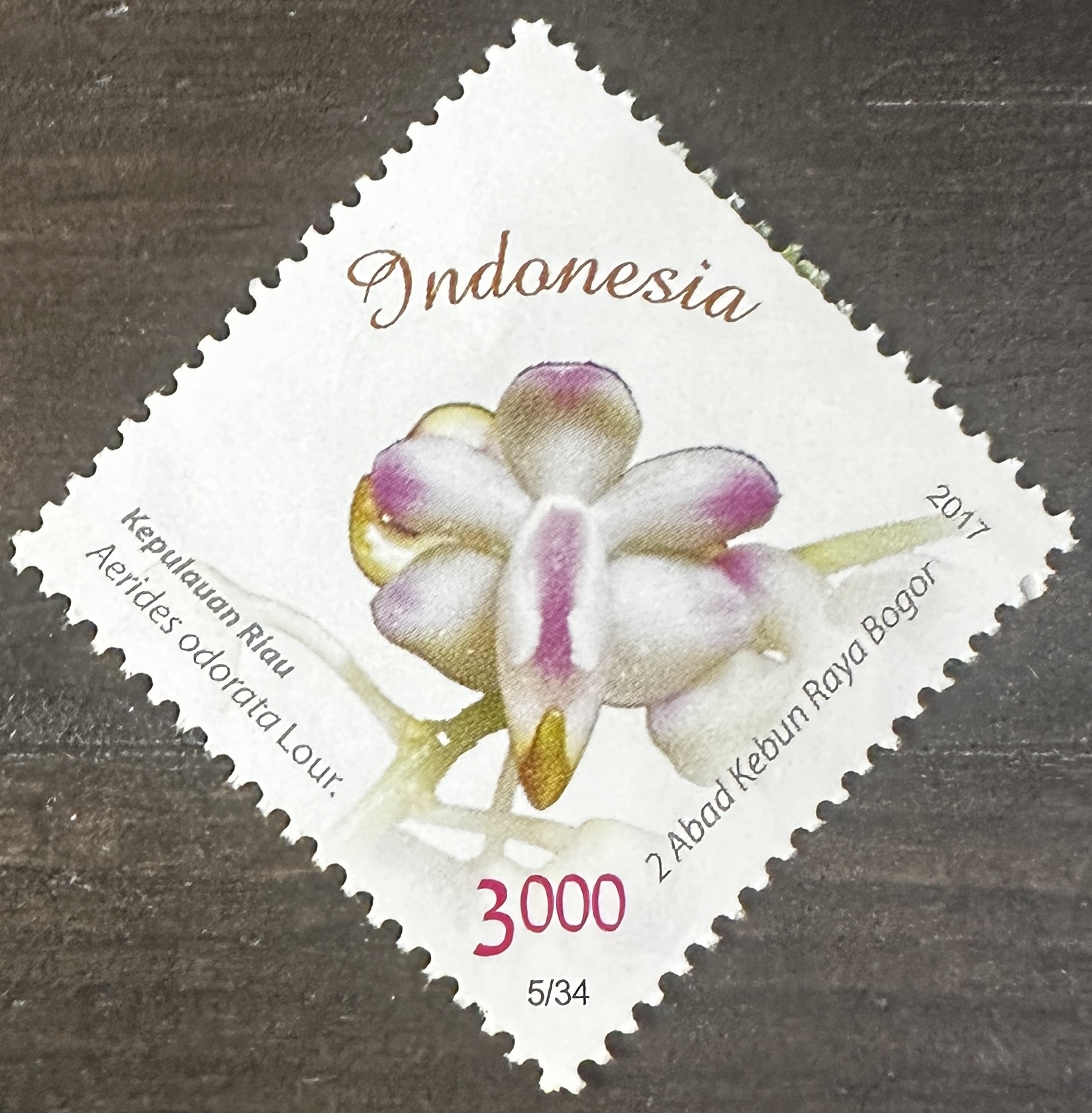 Indonesia 5/34