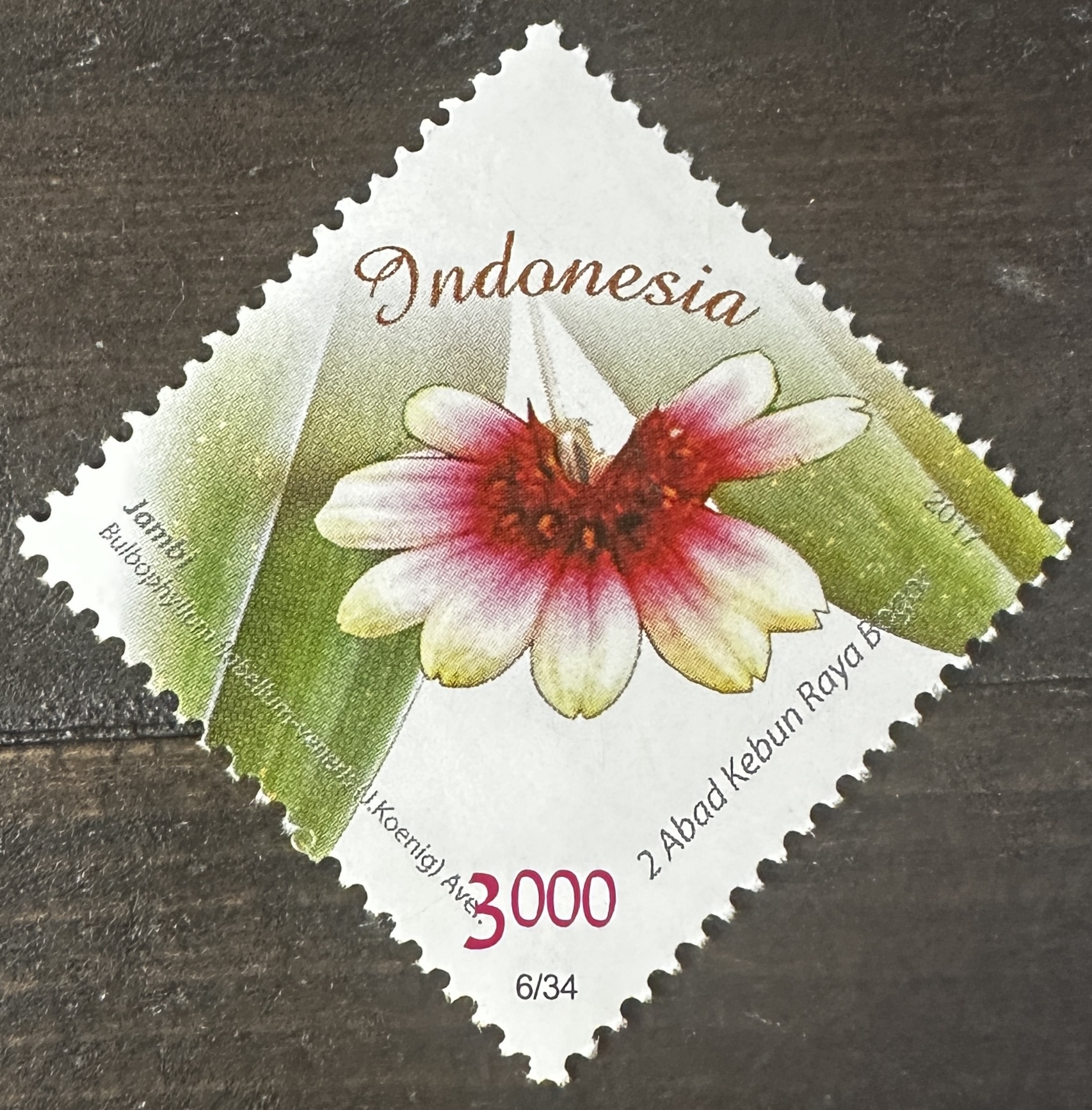 Indonesia 6/34