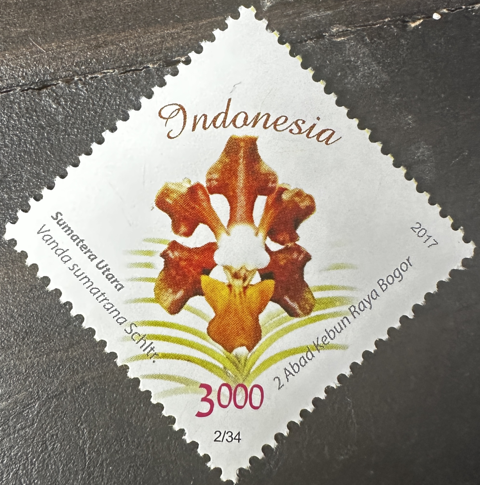 Indonesia  2/34