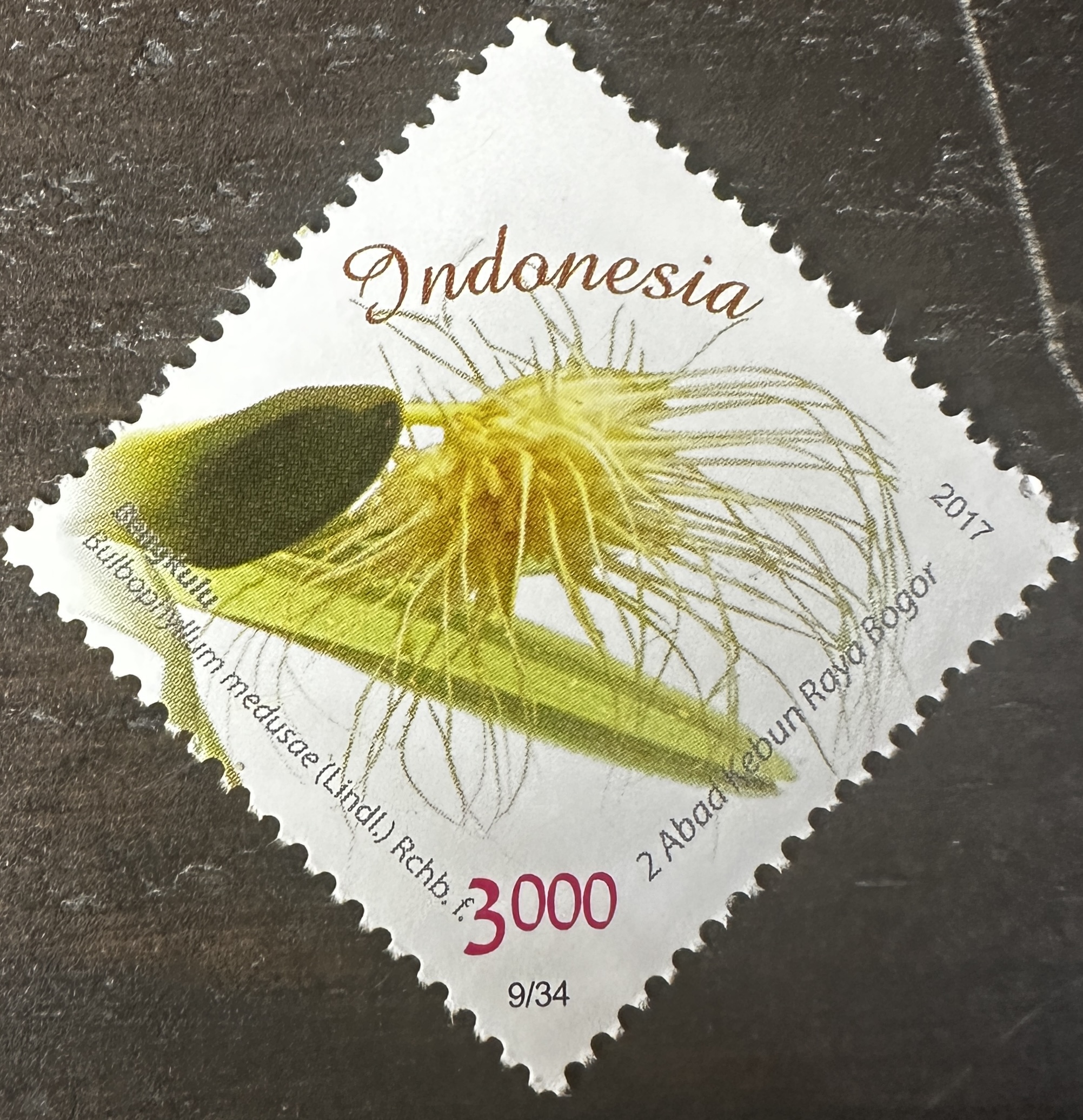 Indonesia 9/34