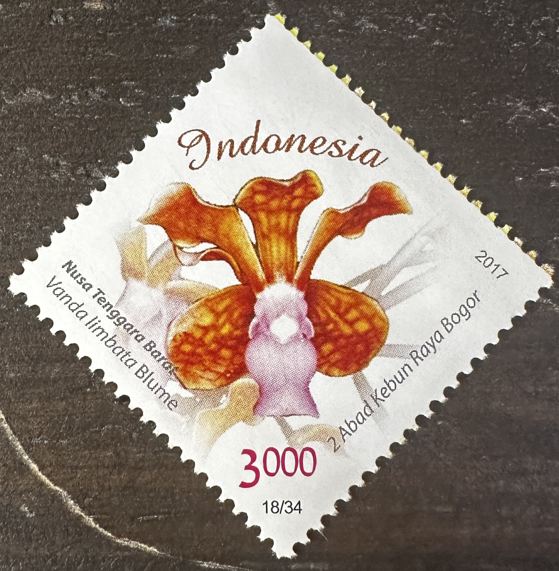 Indonesia 18/34