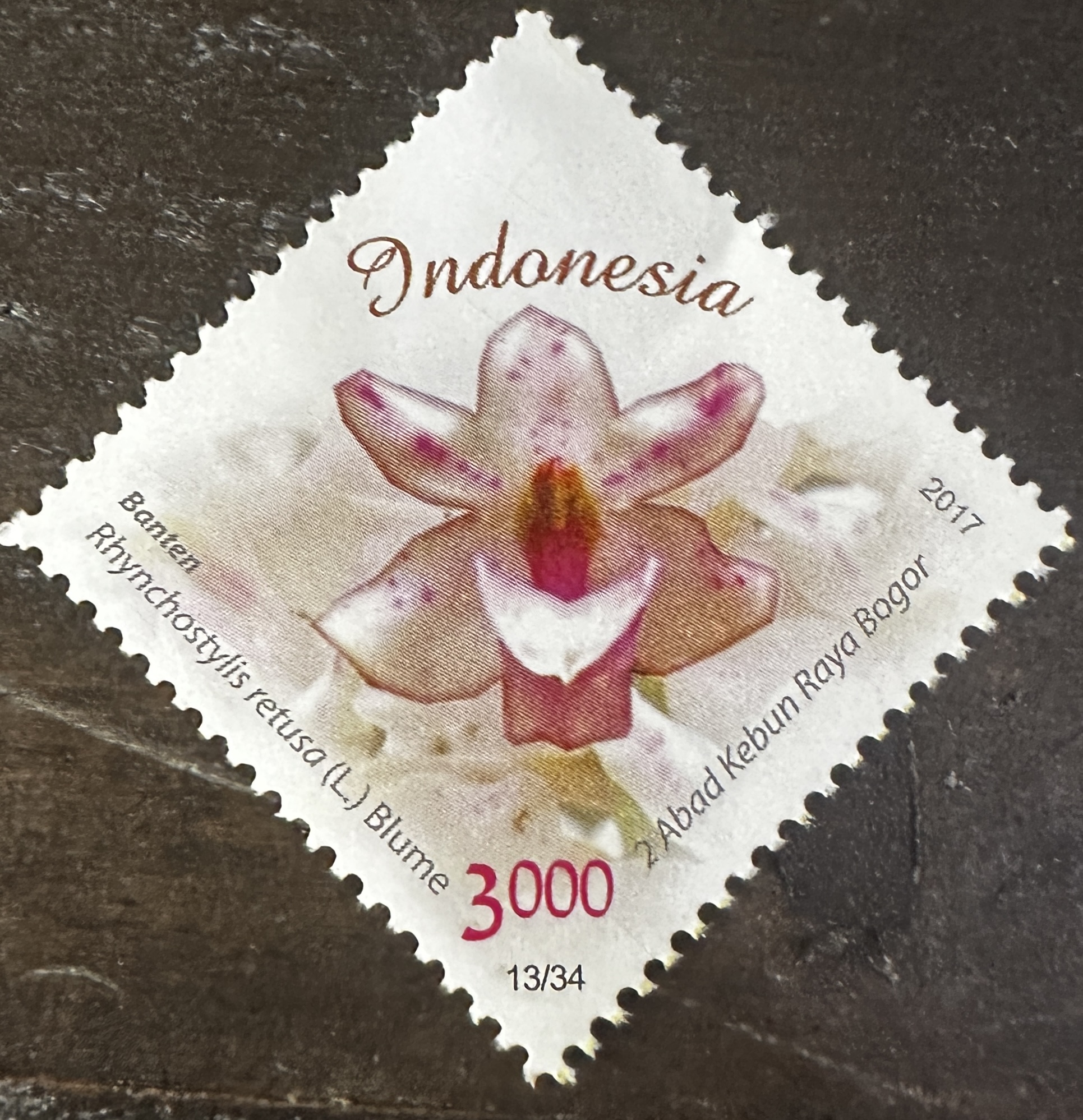 Indonesia 13/34