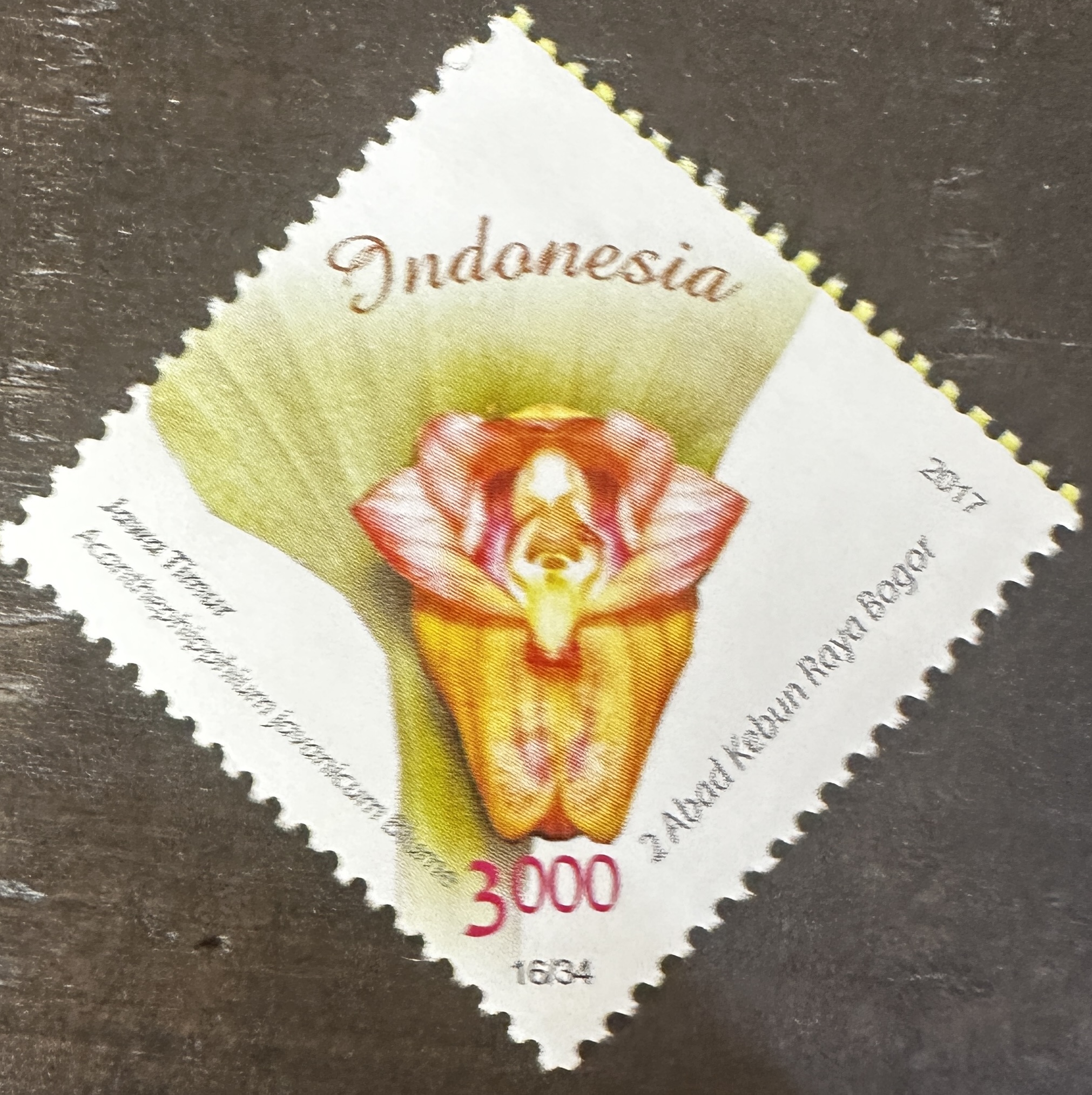 Indonesia 16/34