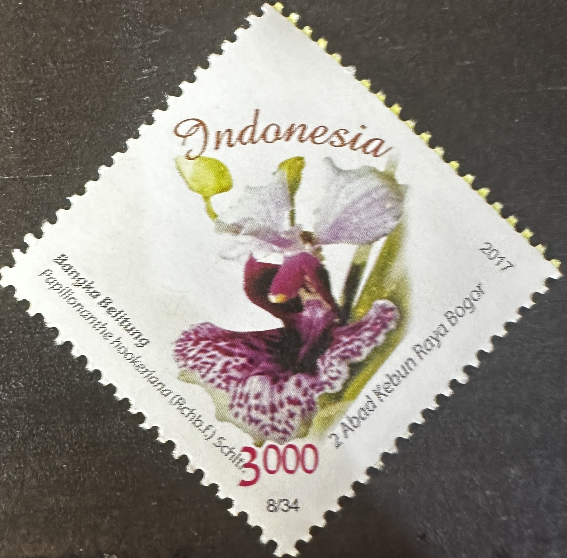 Indonesia 8/34