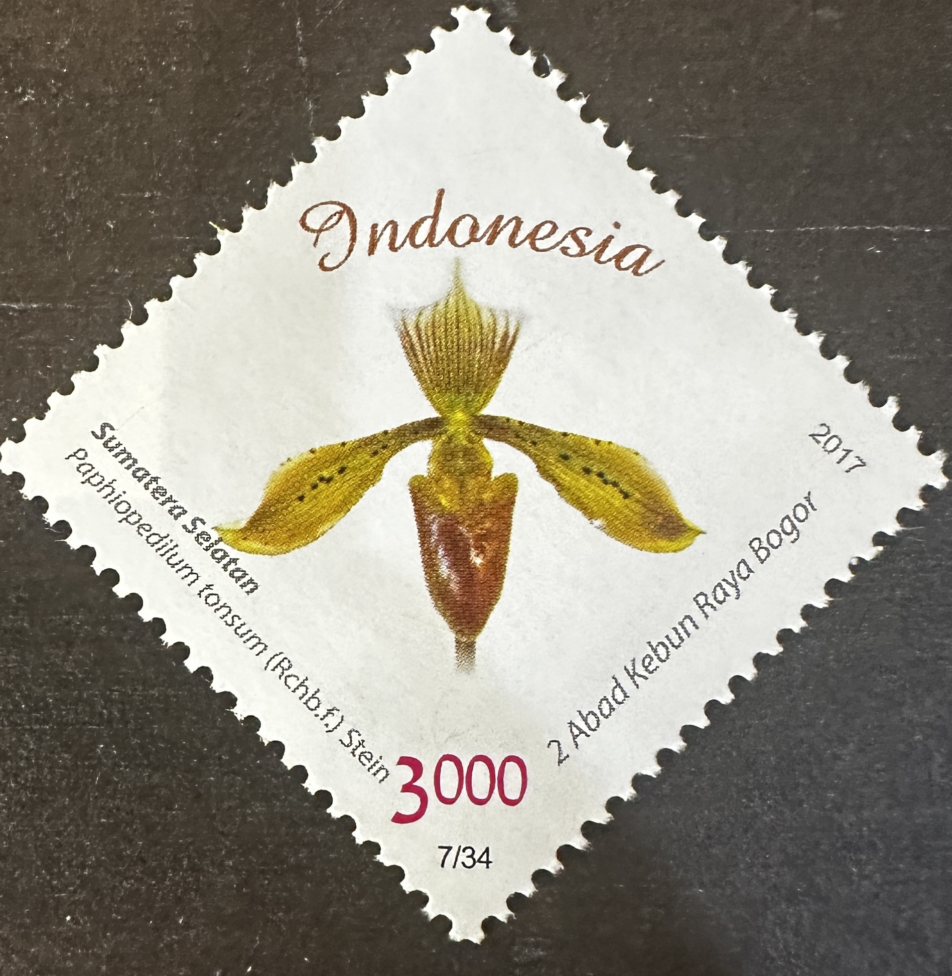 Indonesia 7/34