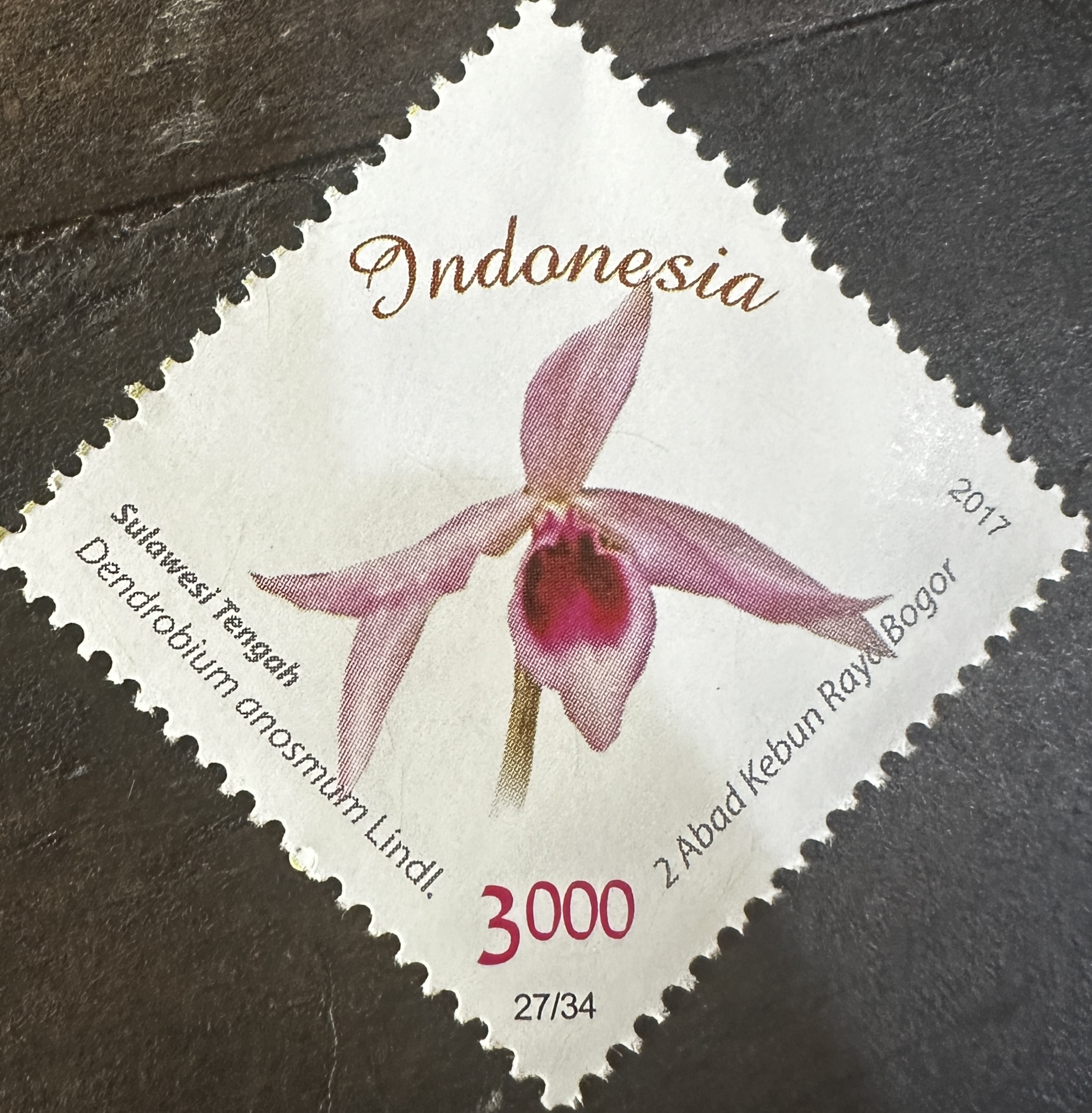 Indonesia 27/34