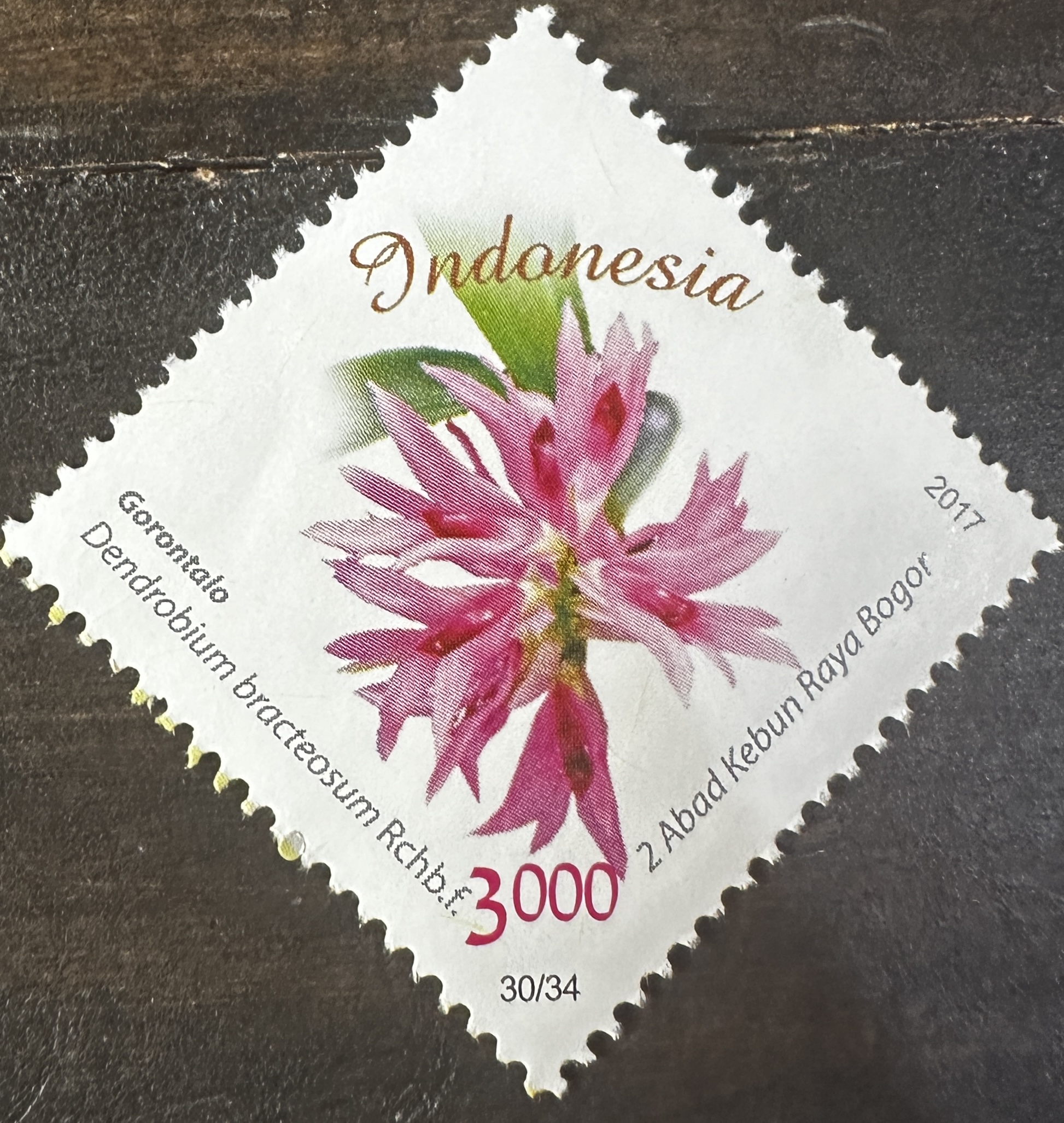 Indonesia 30/34