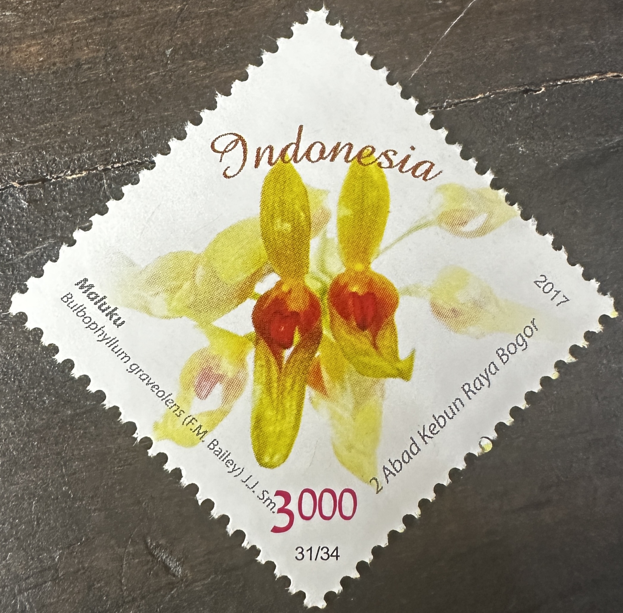 Indonesia 31/34