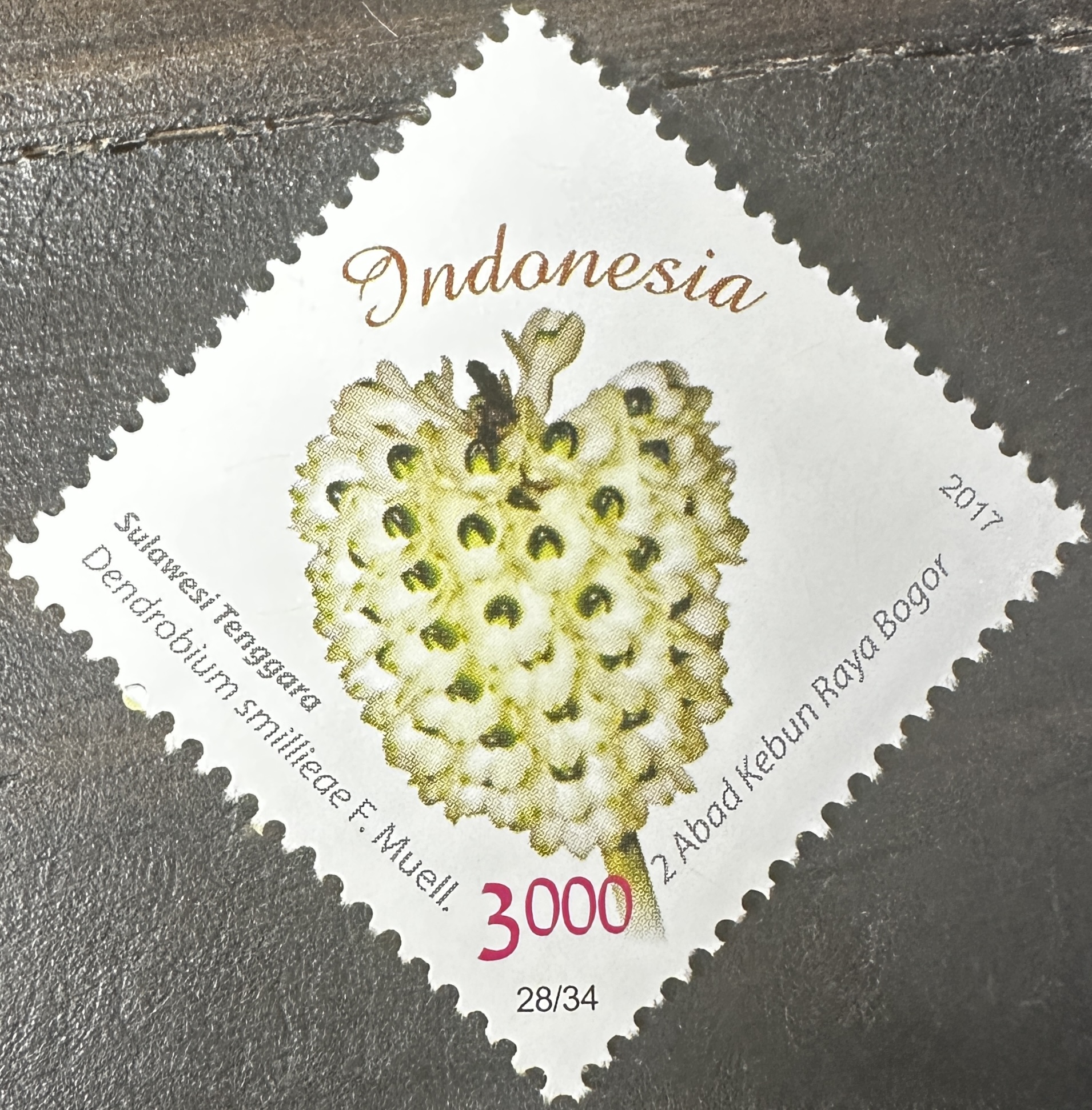 Indonesia 28/34