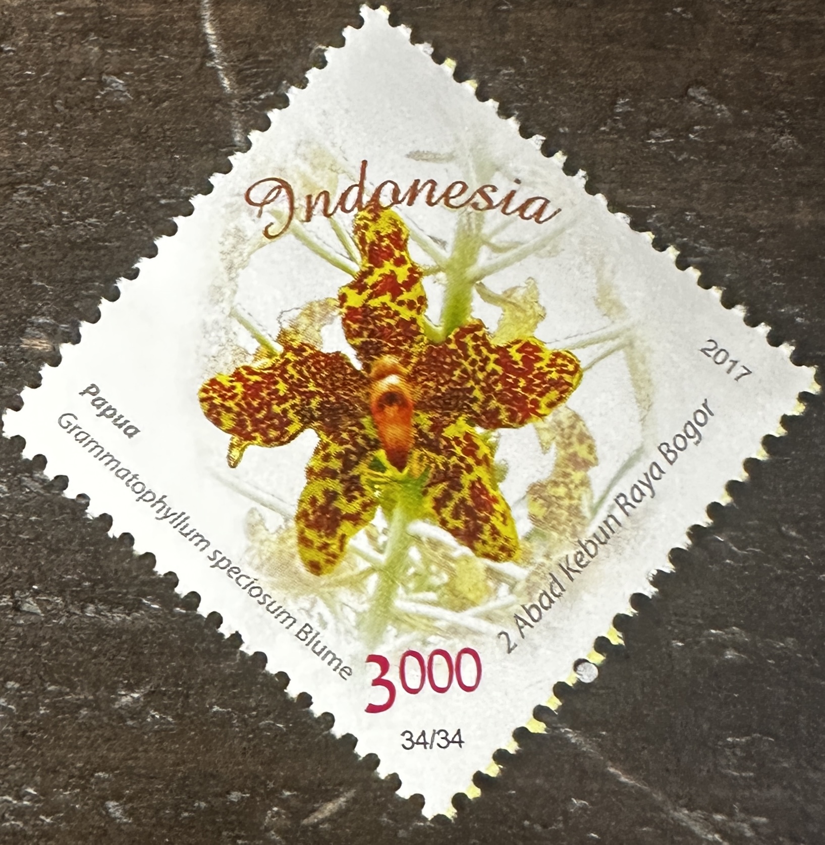 Indonesia 34/34