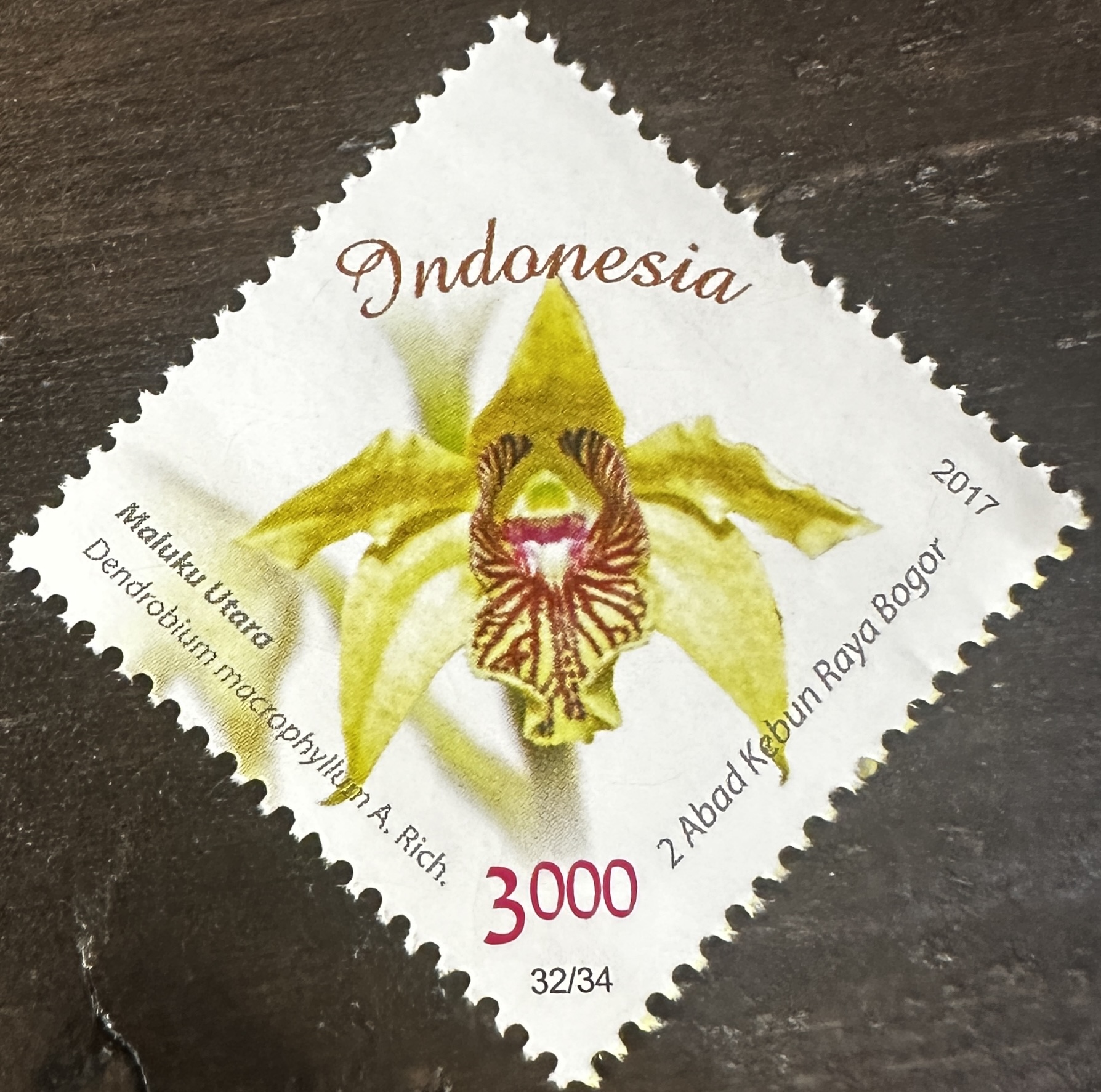 Indonesia 32/34