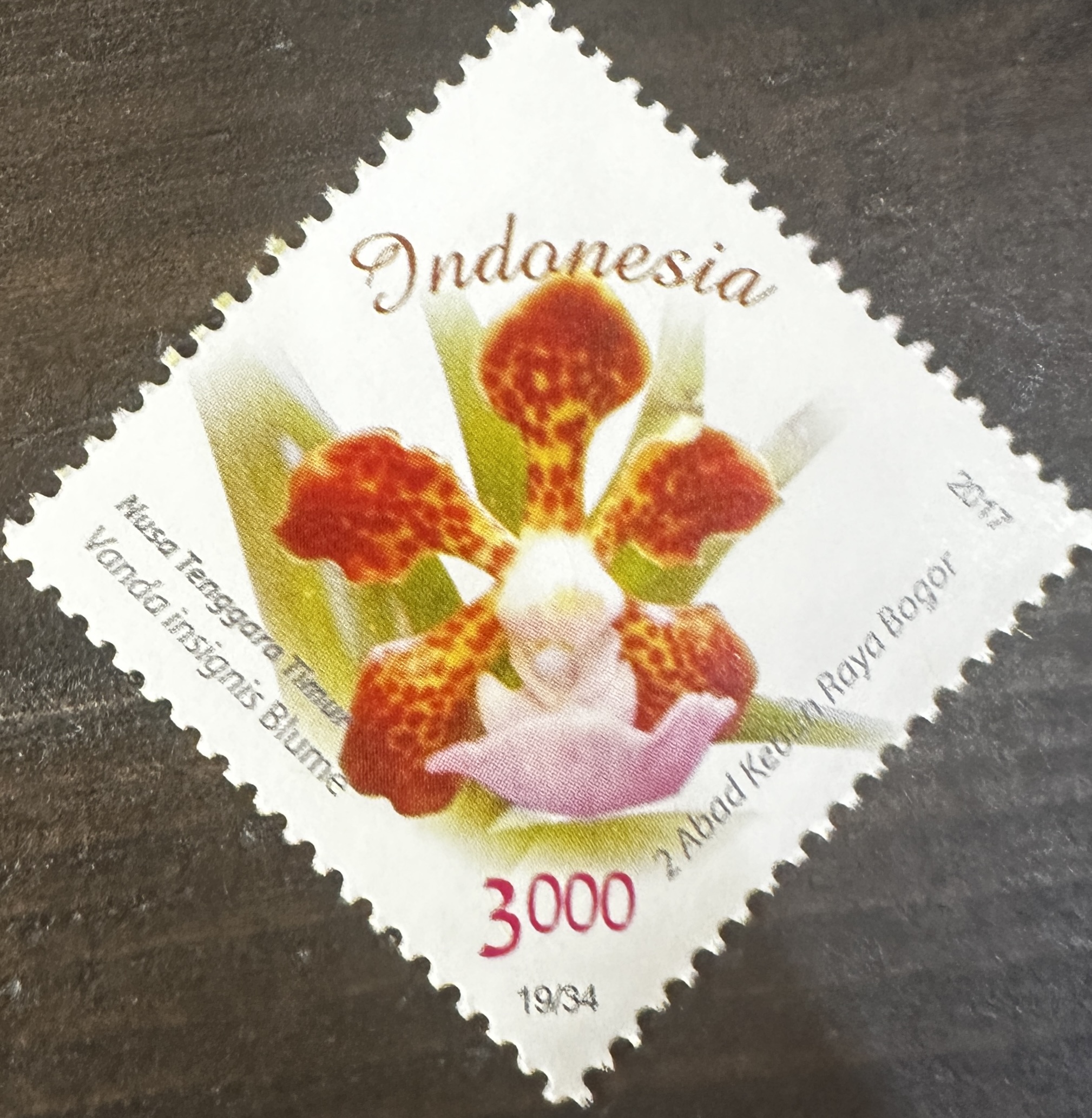 Indonesia 19/34