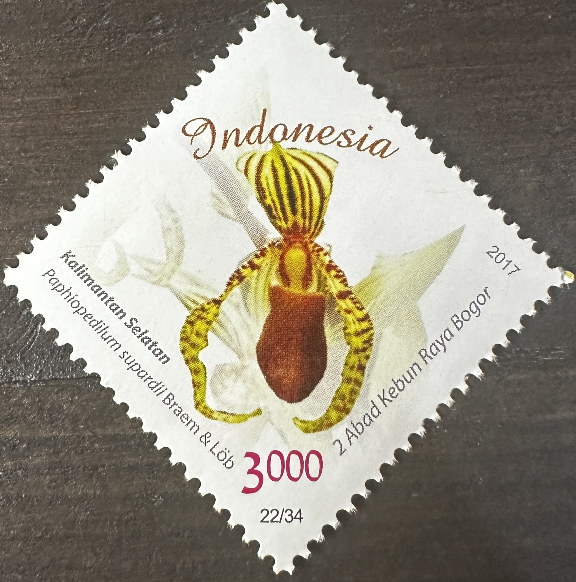 Indonesia 22/34