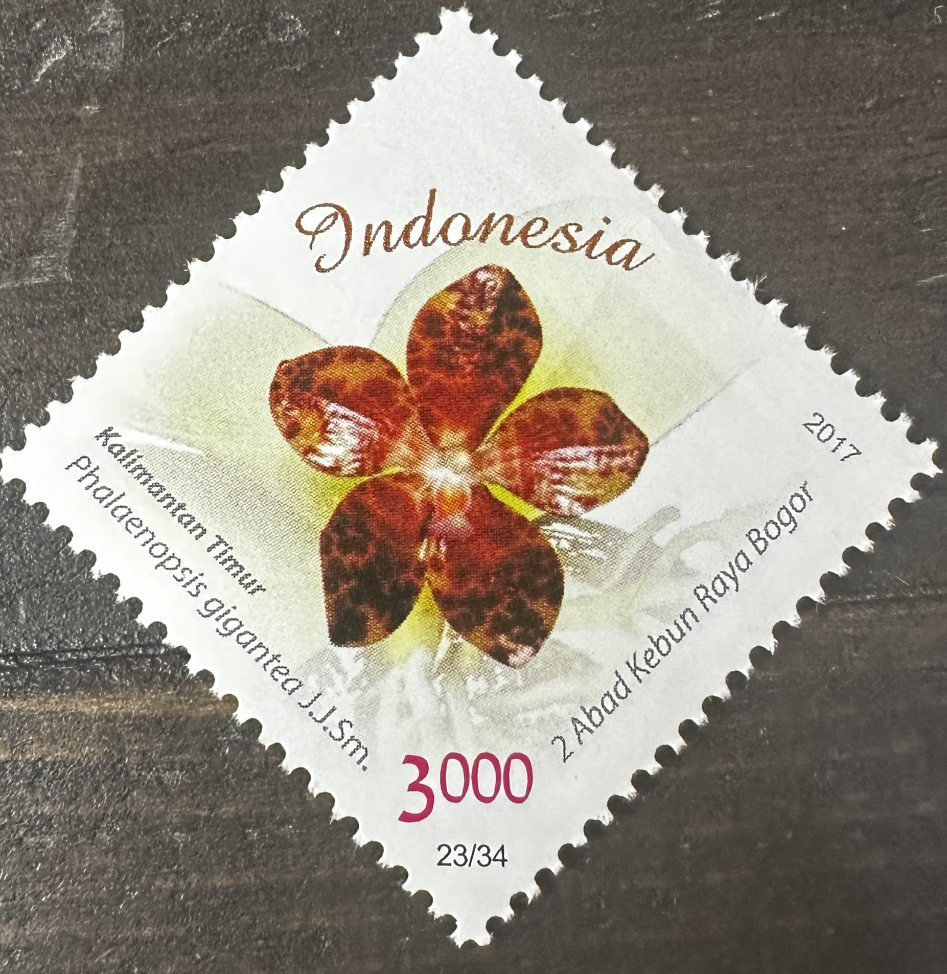 Indonesia 23/34