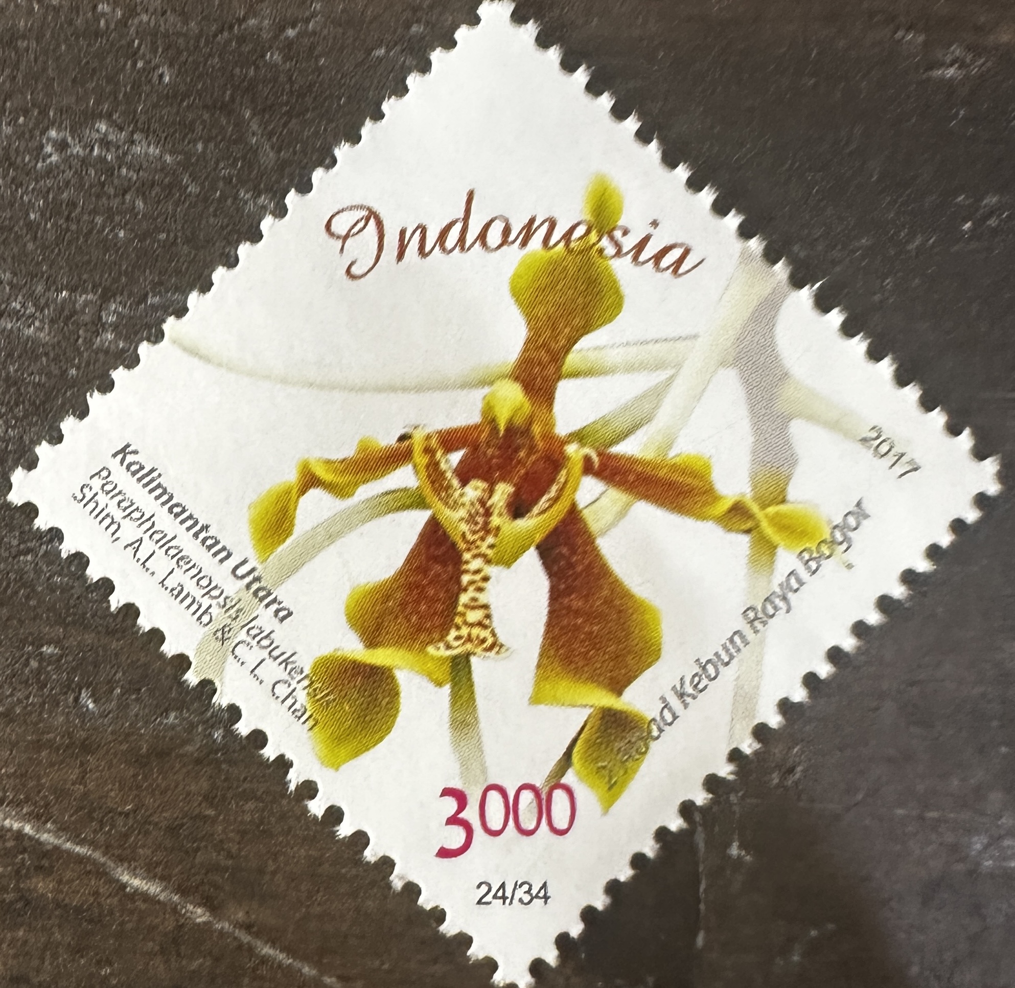 Indonesia 24/34