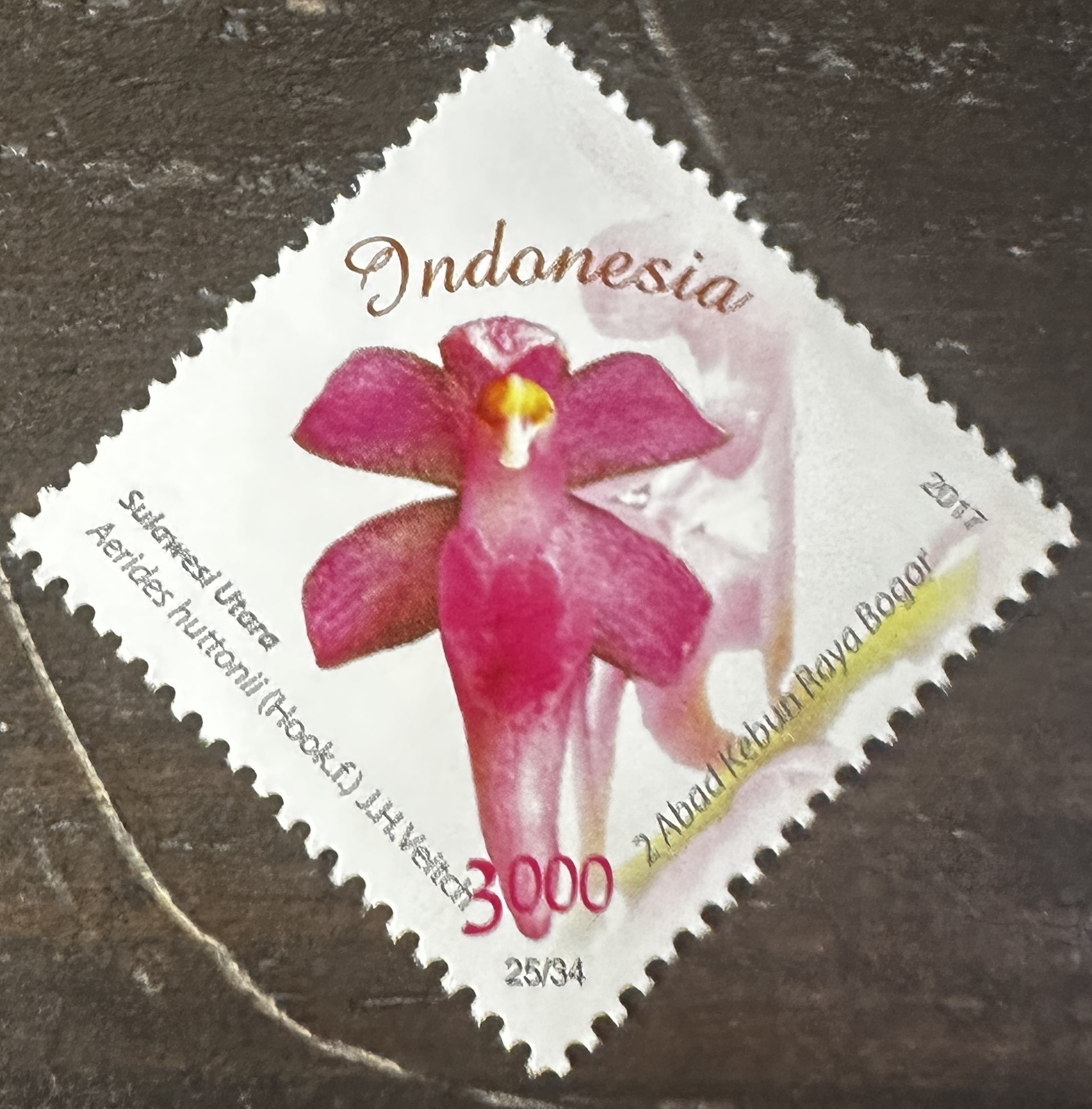 Indonesia 25/34