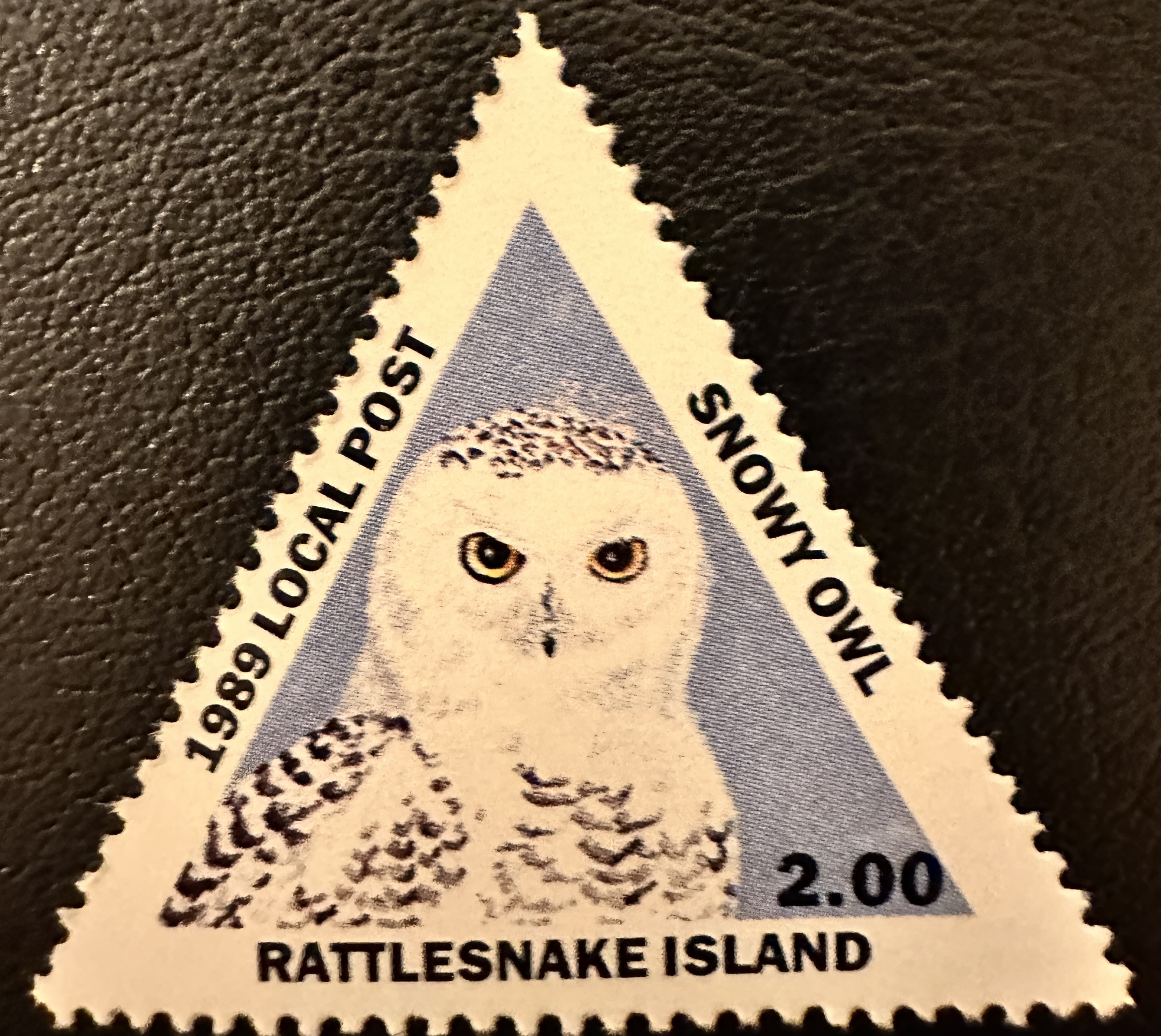 Snowy Owl 1989