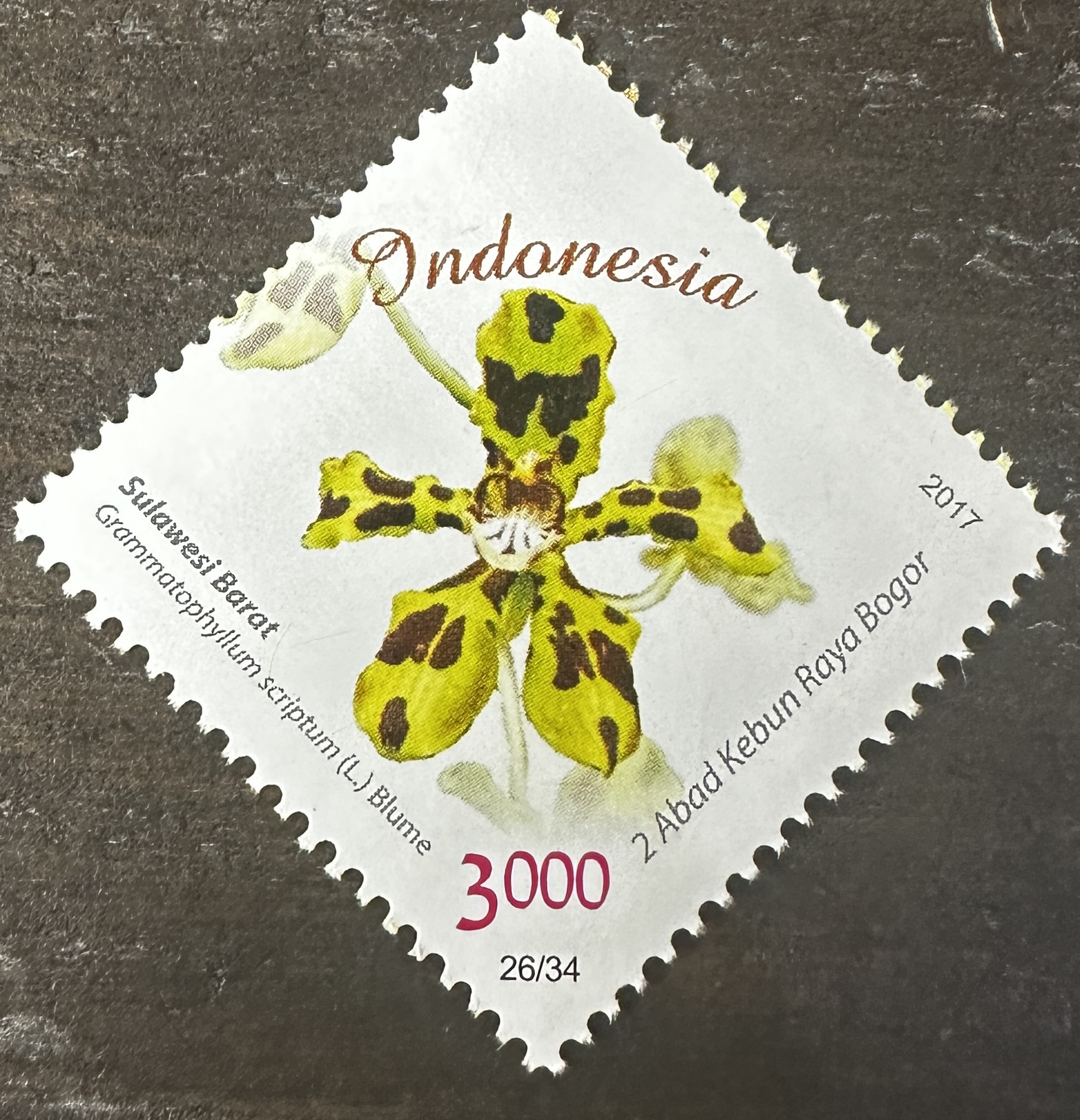 Indonesia 26/34