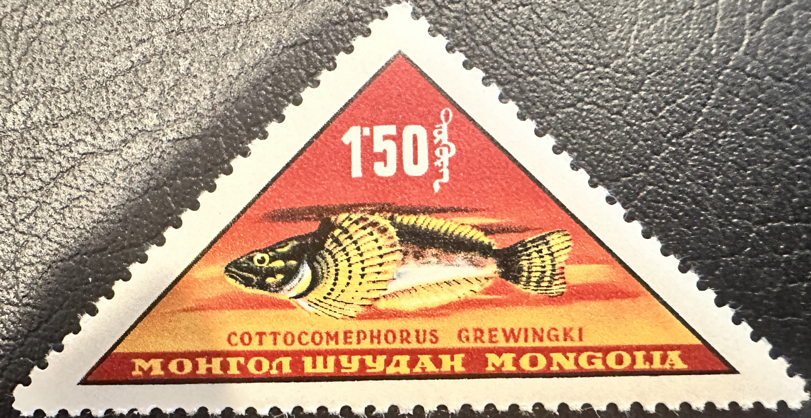 Mongolia Fish 1