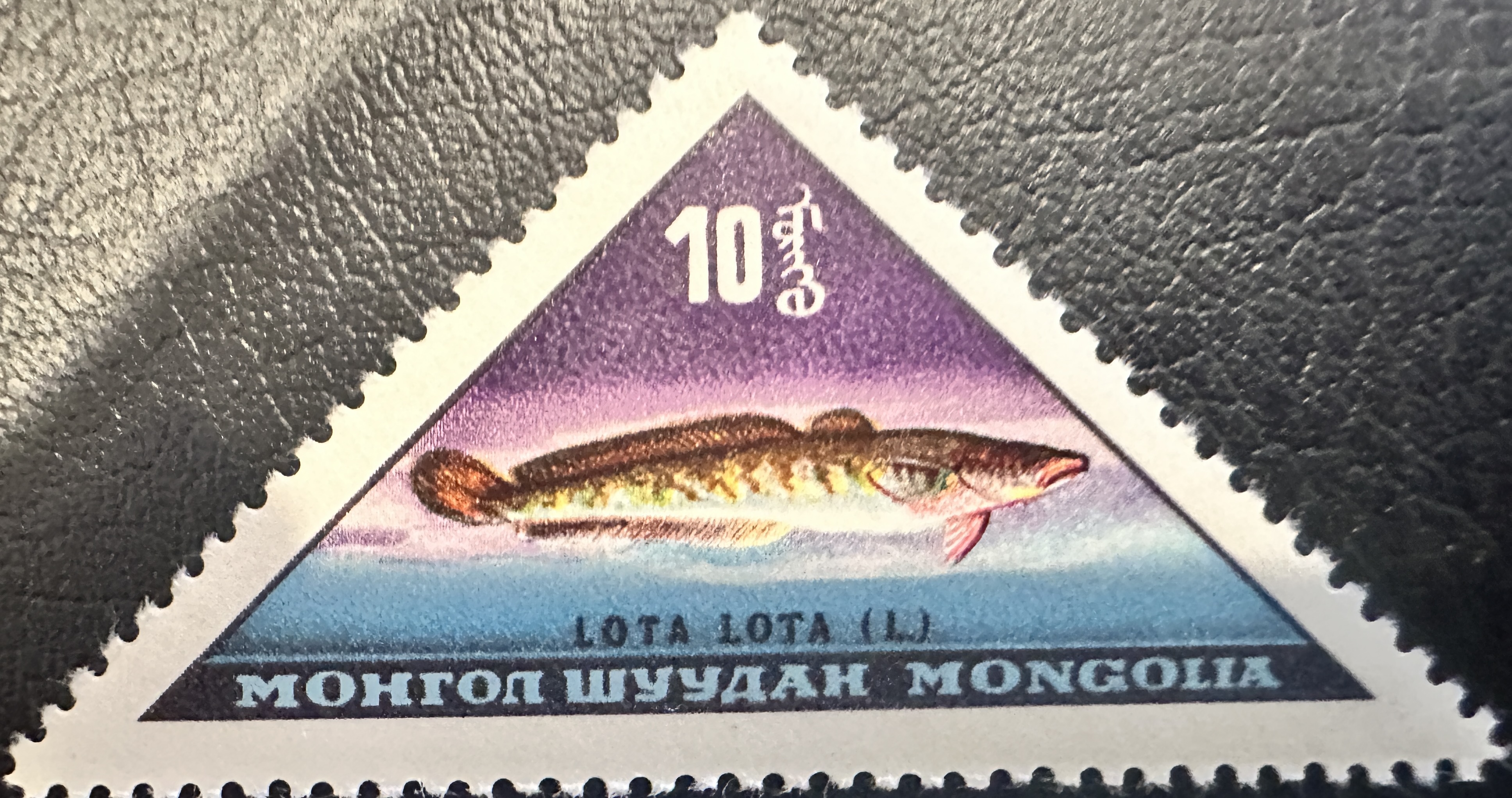 Mongolia Fish 2