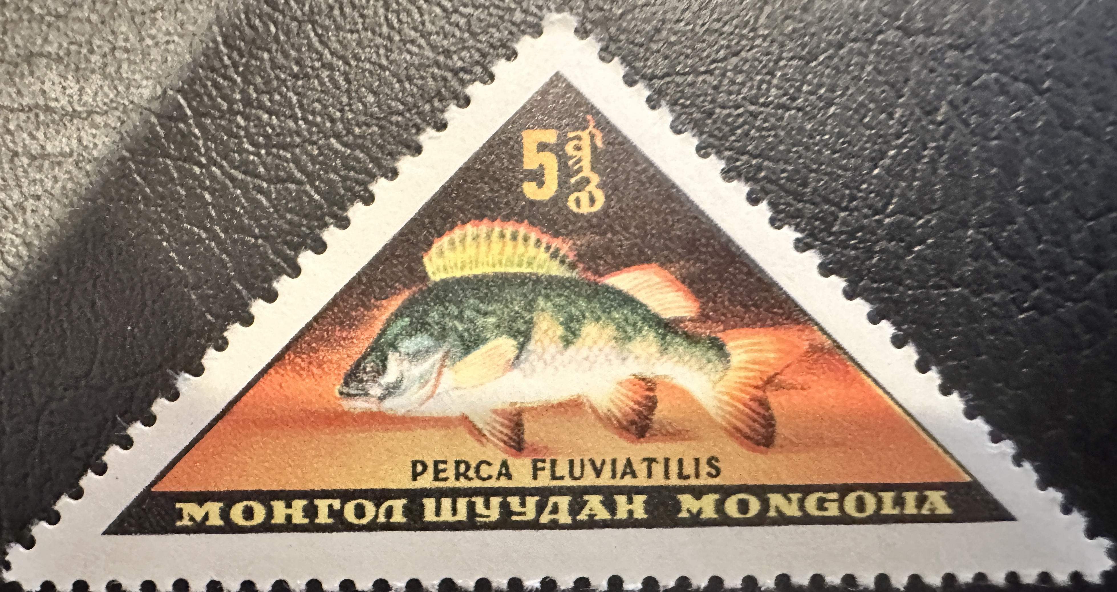 Mongolia Fish 3