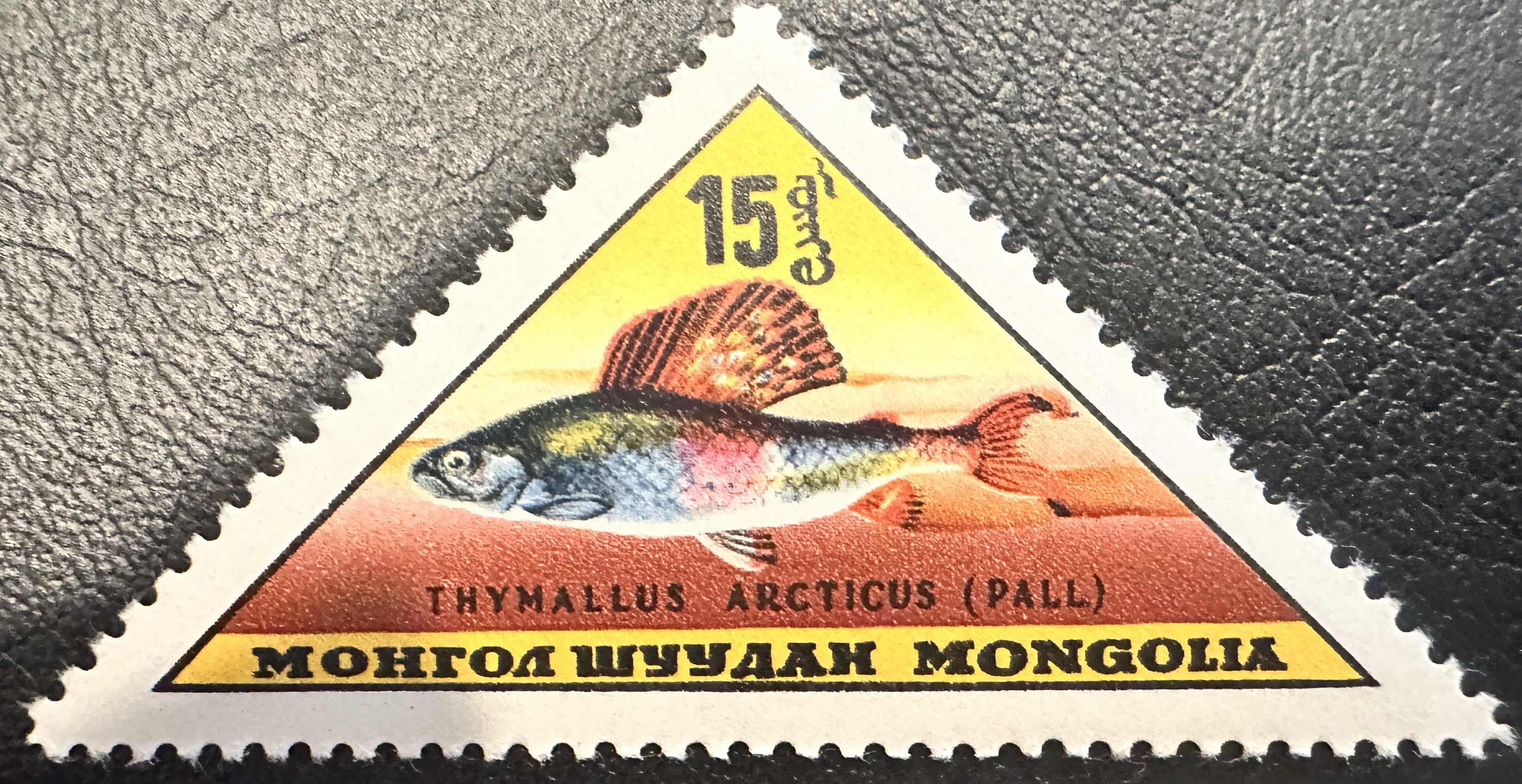 Mongolia Fish 15