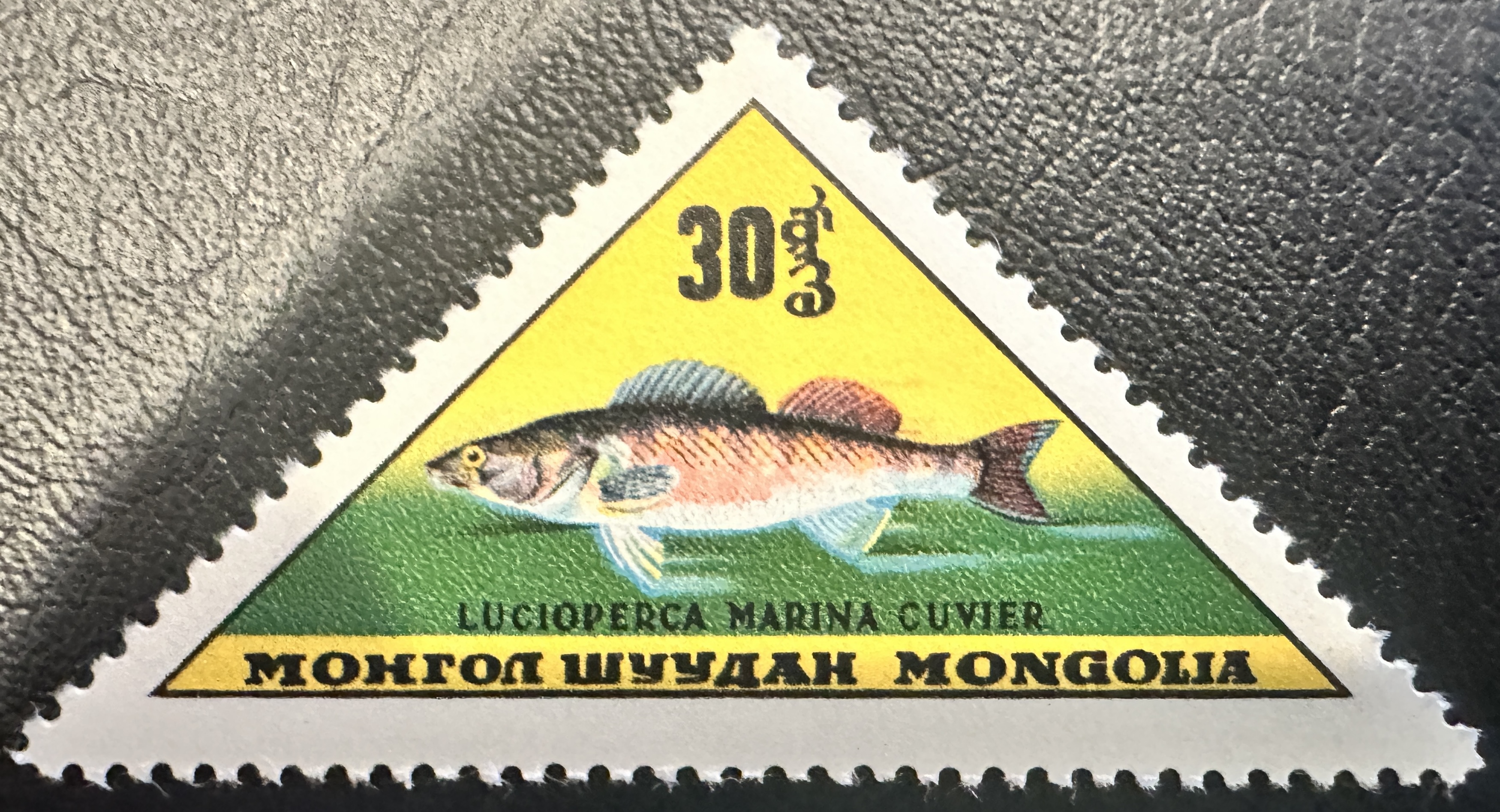 Mongolia Fish 5