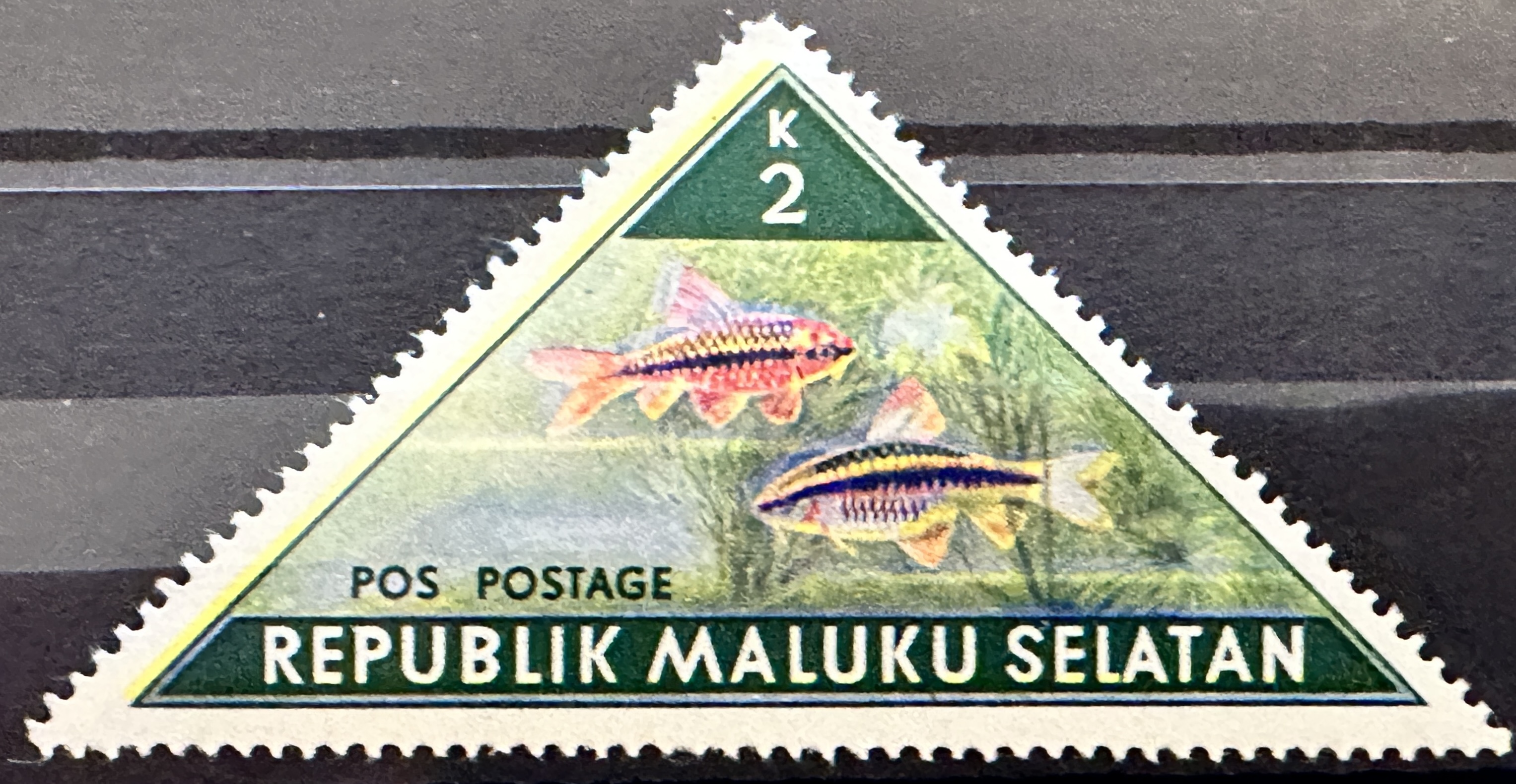 Selatan  Fish 2k