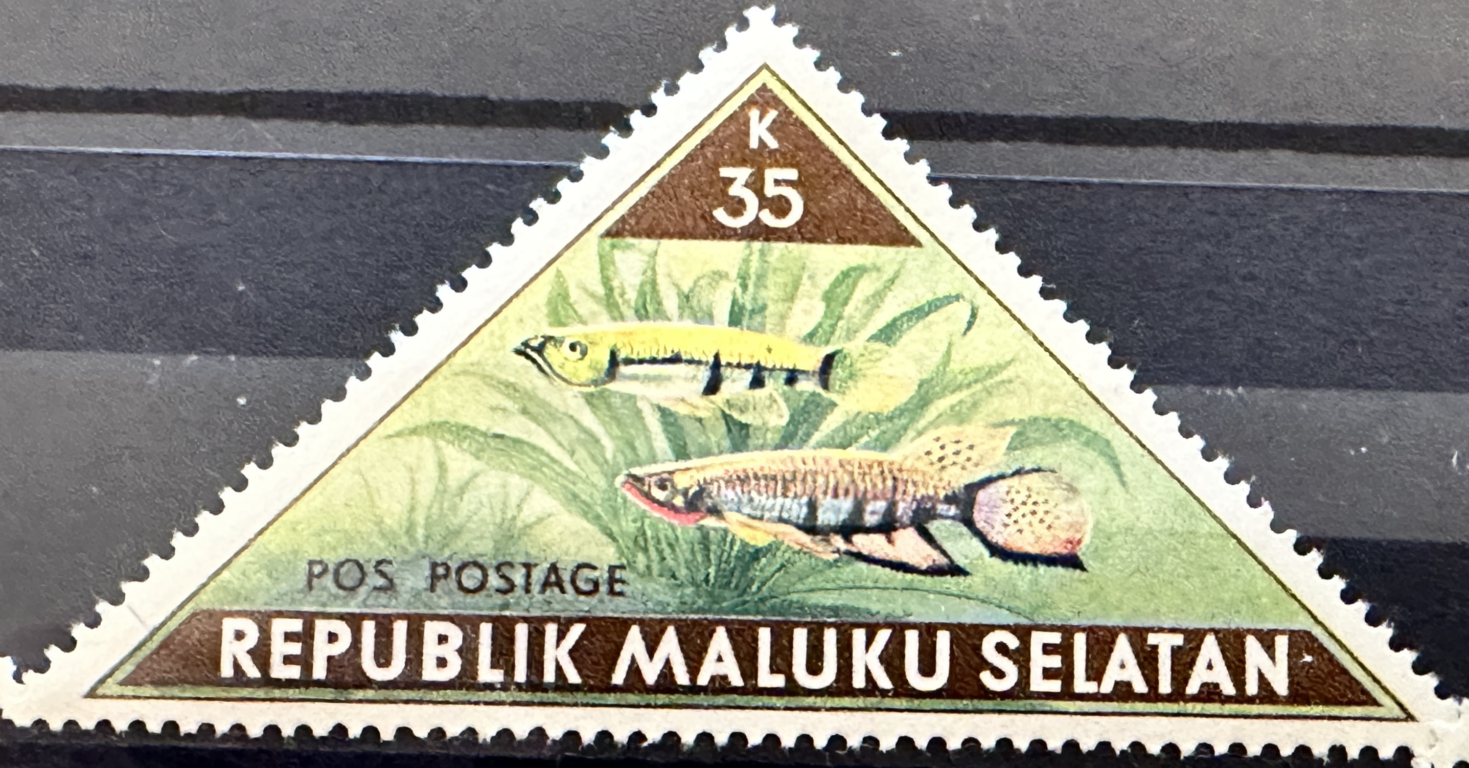 Selatan Fish 35