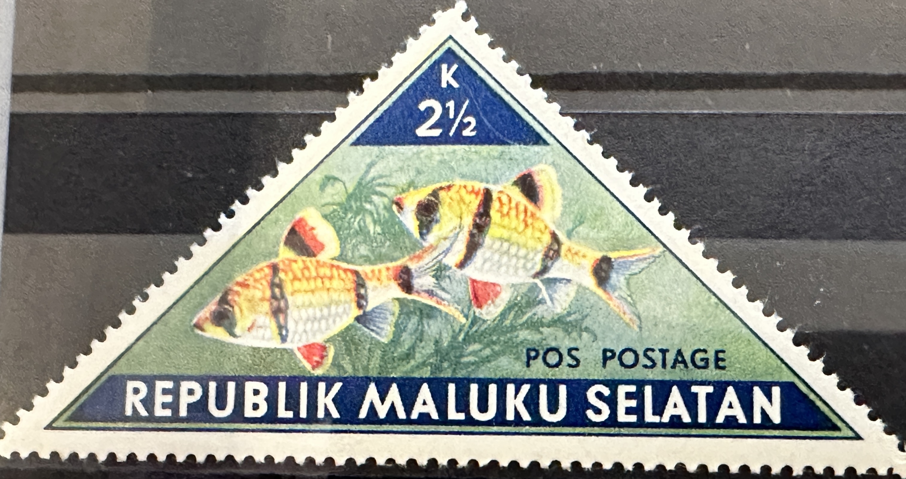 Selatan Fish 2 1/2