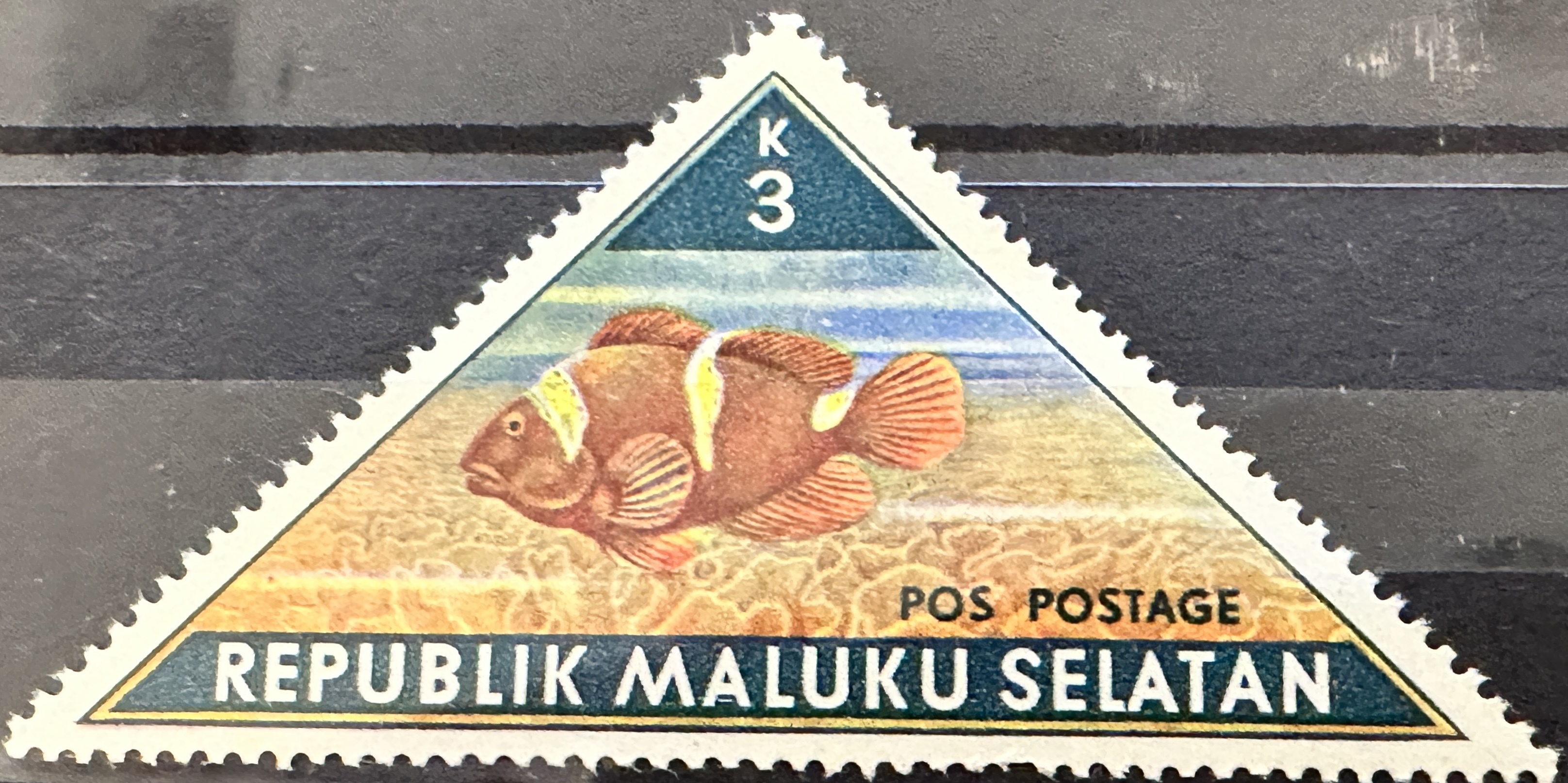 Selatan Fish 3