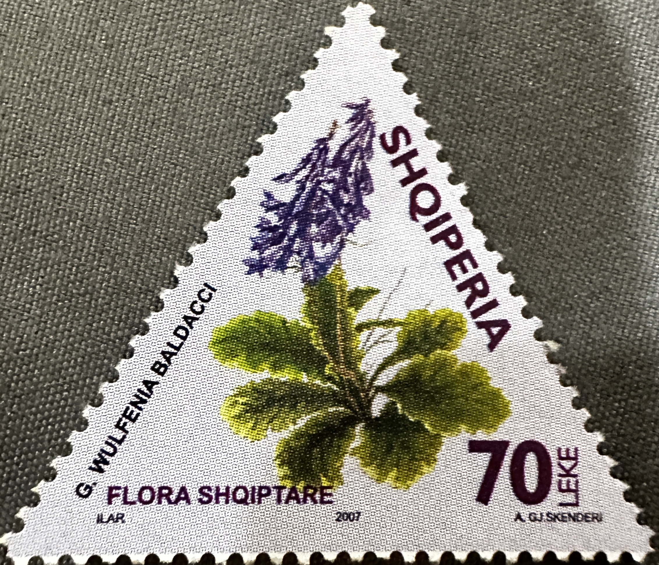 2007 Albania Flowers 2