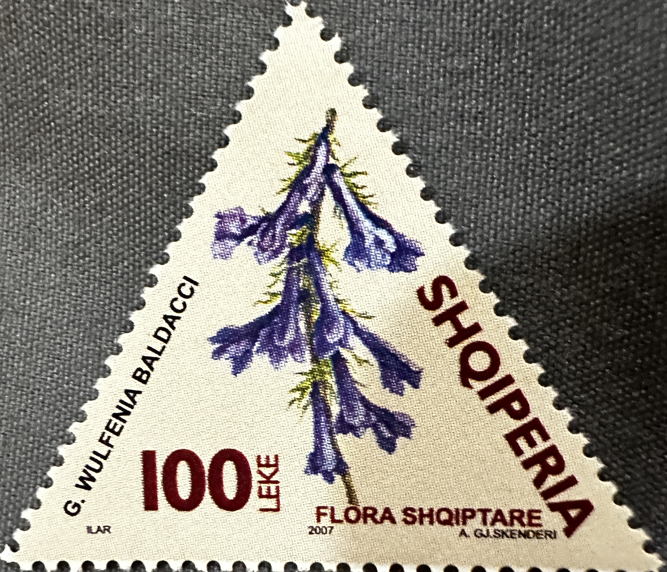 2007 Albania Flowers 1