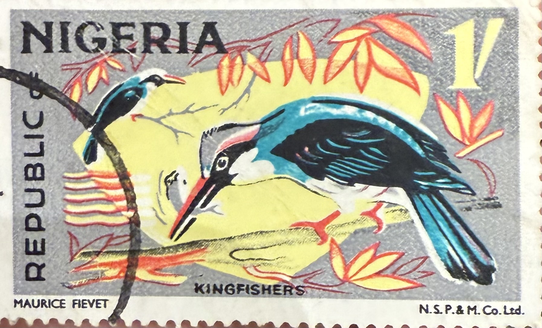 Blue Breasted Kingfisher Nigeria