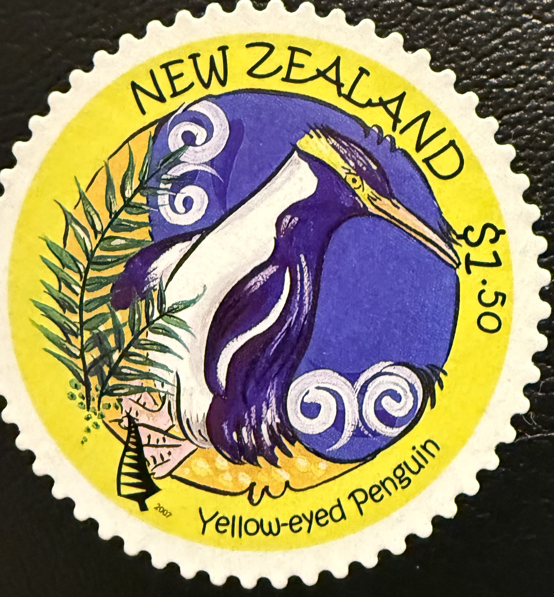 Yellow Eyed Penguin New Zealand